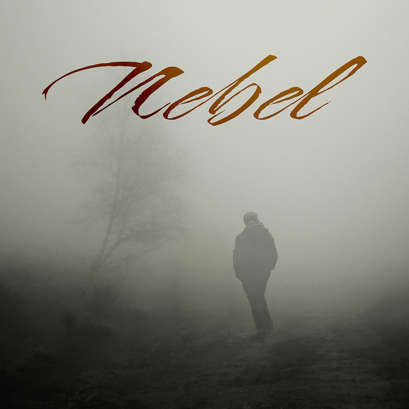Постер альбома Nebel