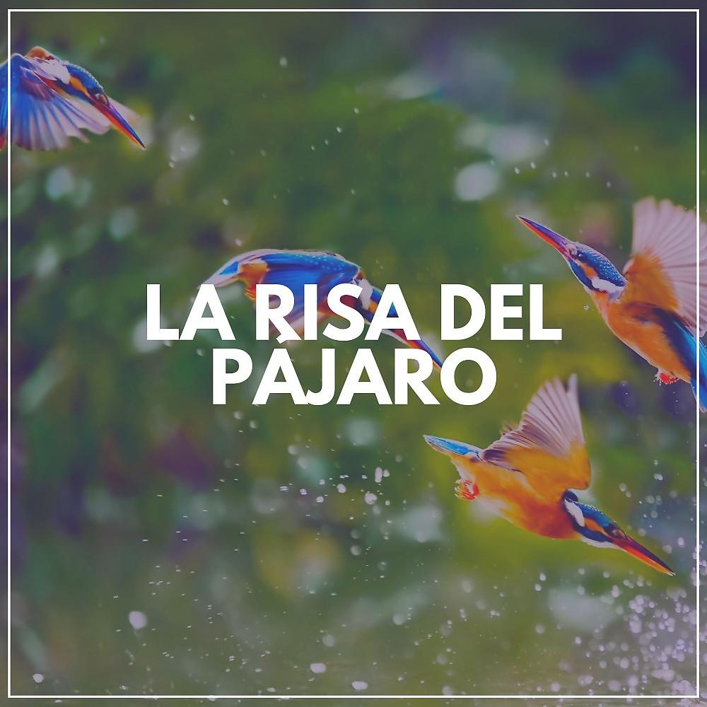 Постер альбома La Risa del Pájaro
