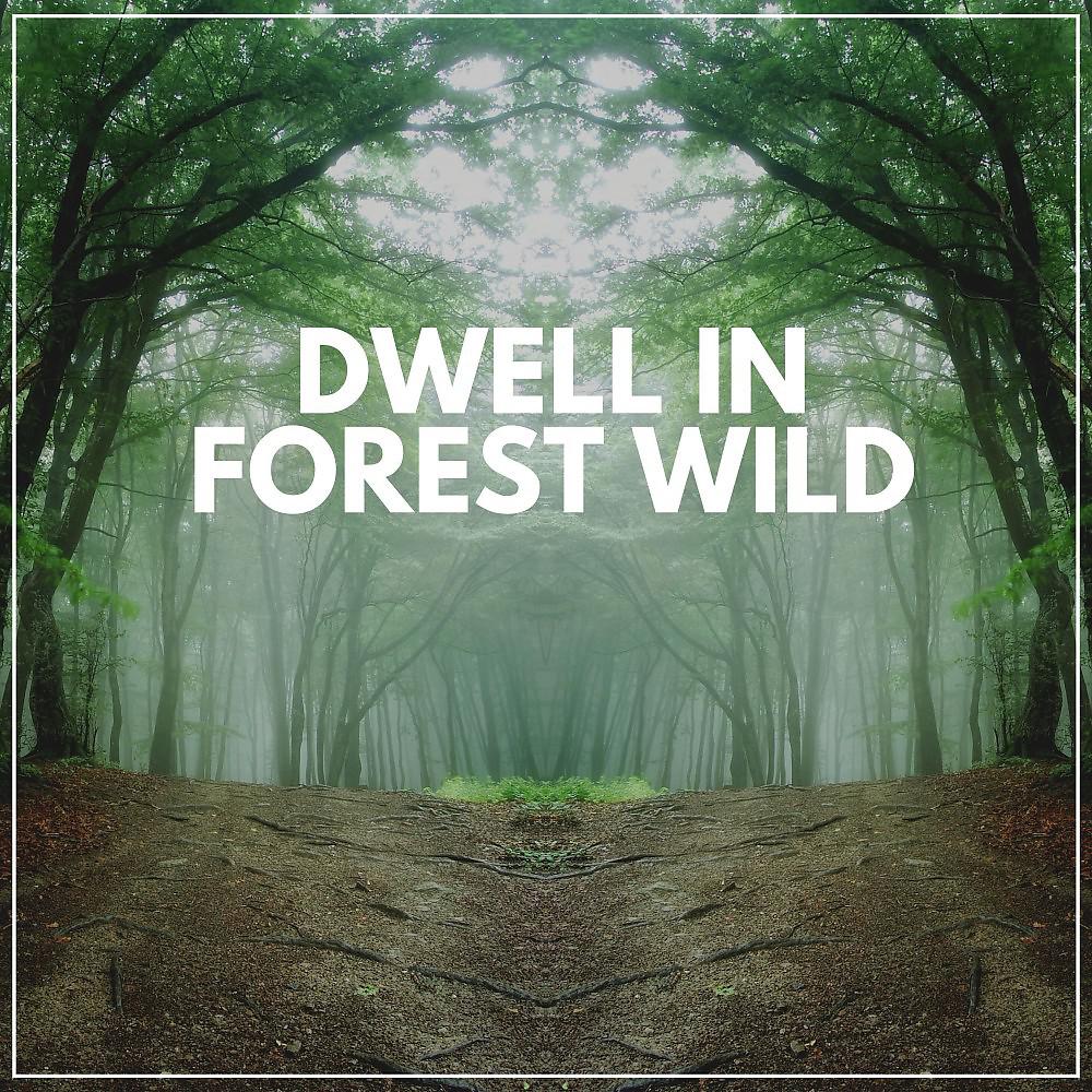 Постер альбома Dwell in Forest Wild