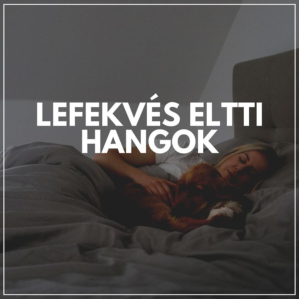 Постер альбома Lefekvés Eltti Hangok