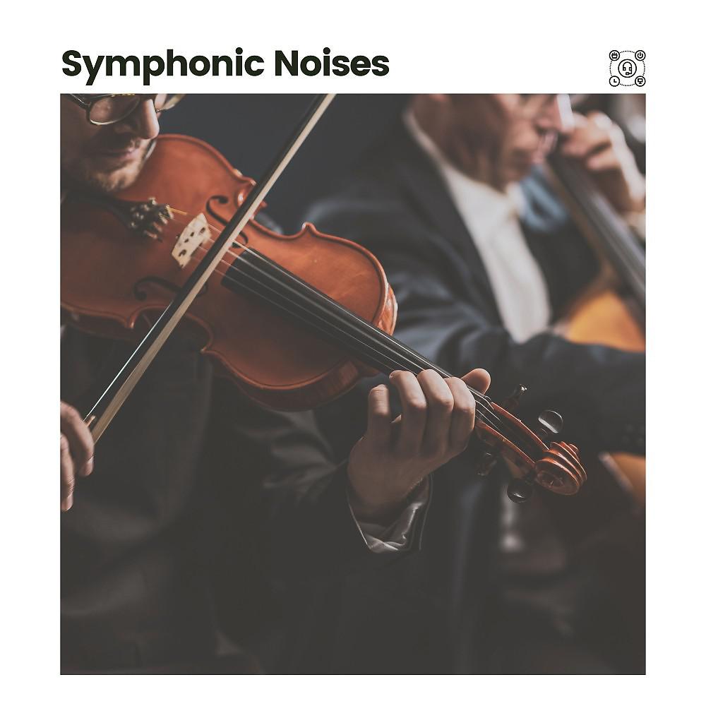 Постер альбома Symphonic Noises