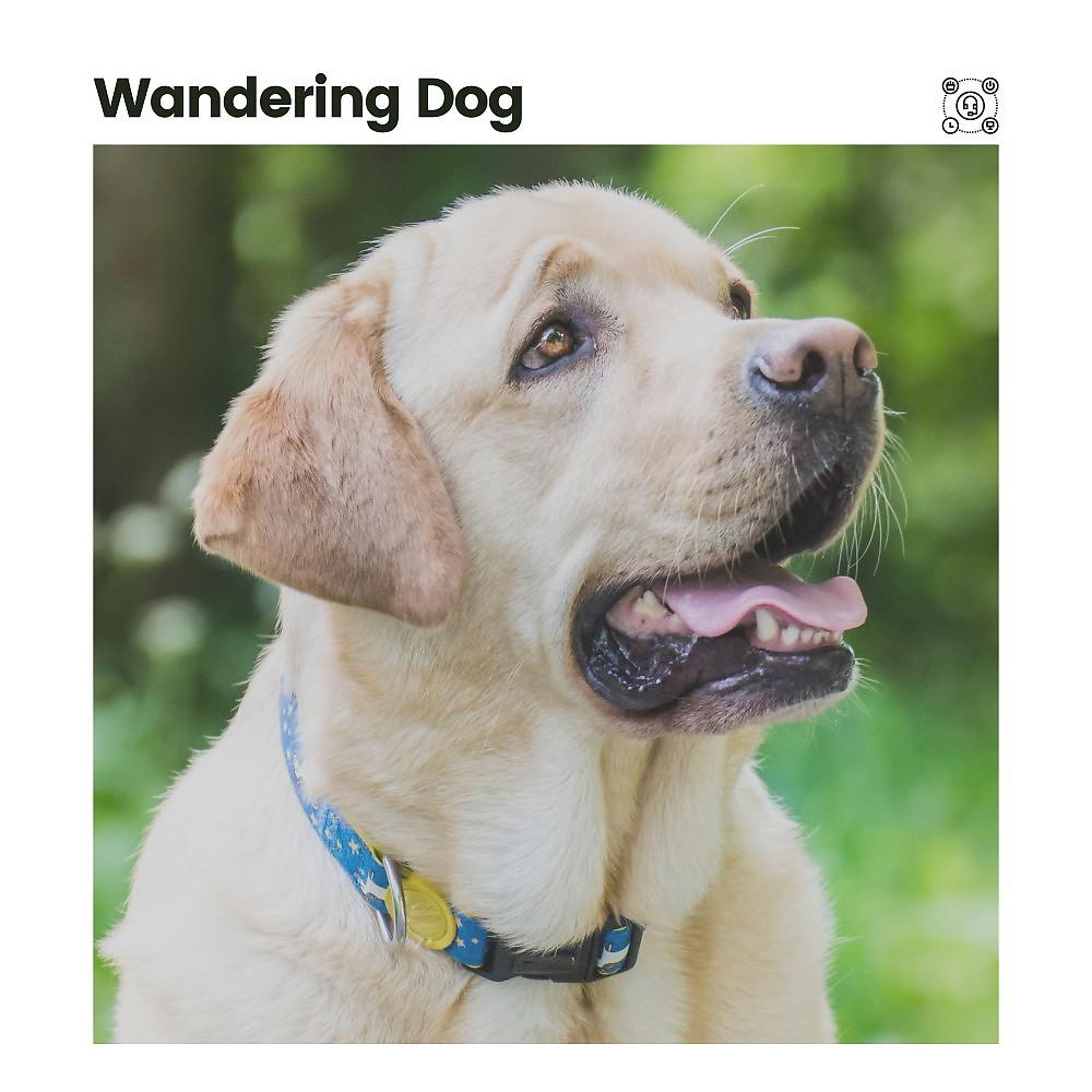 Постер альбома Wandering Dog