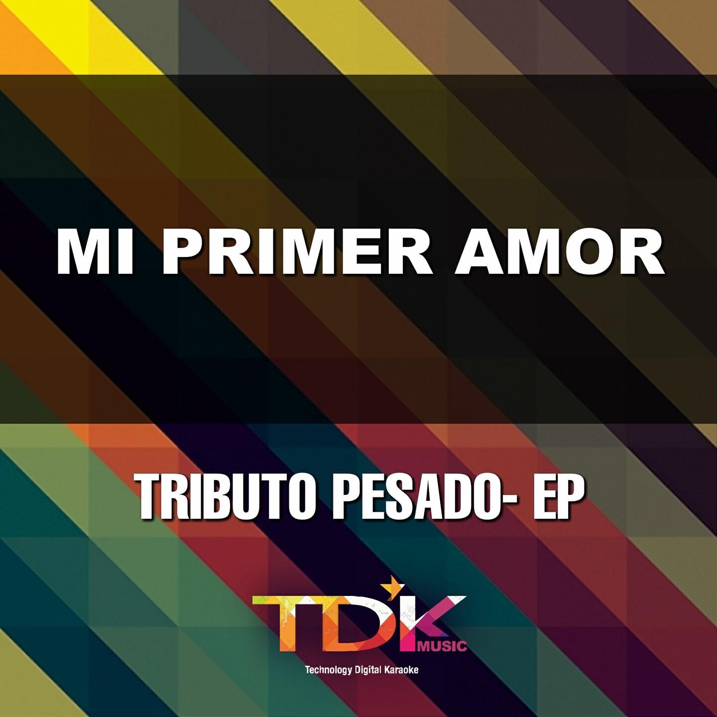 Tdk Music - Mi Primer Amor (Karaoke Version) [In The Style Of Pesado]