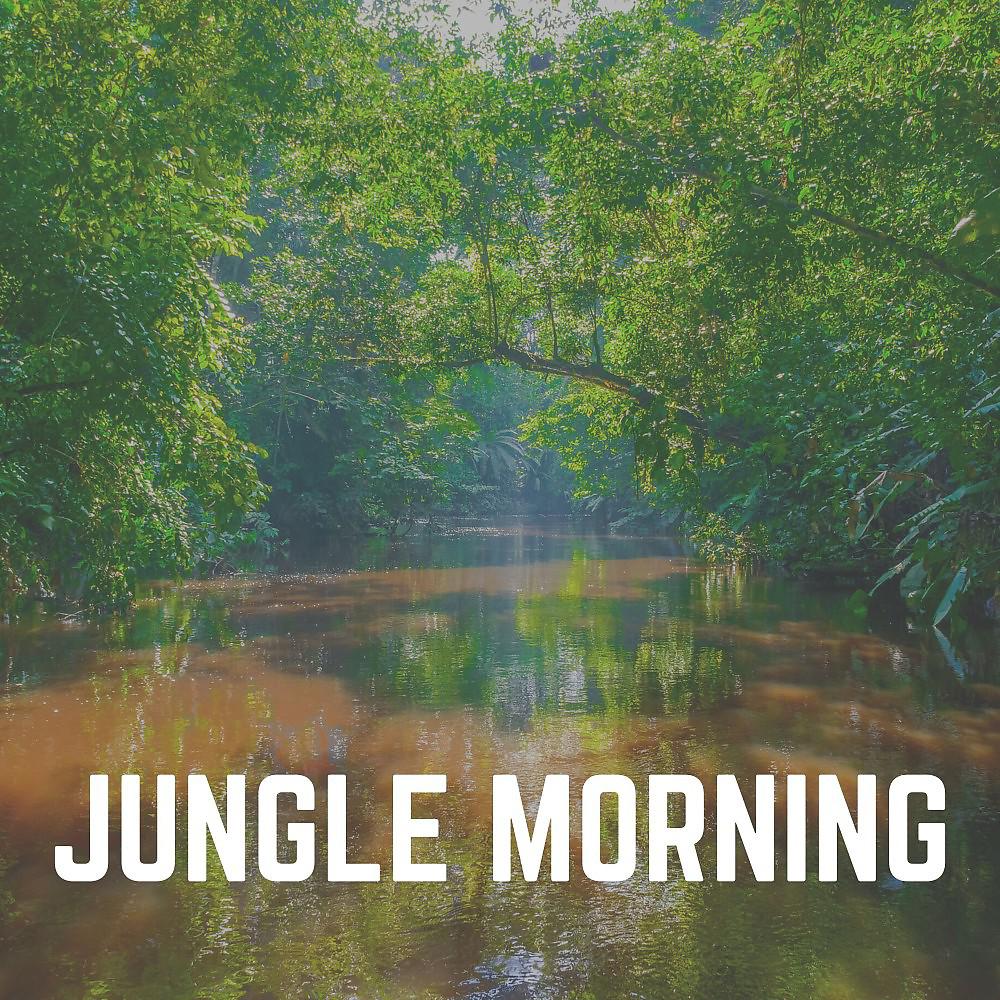 Постер альбома Jungle Morning