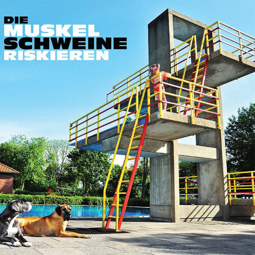 Постер альбома Riskieren (Live)