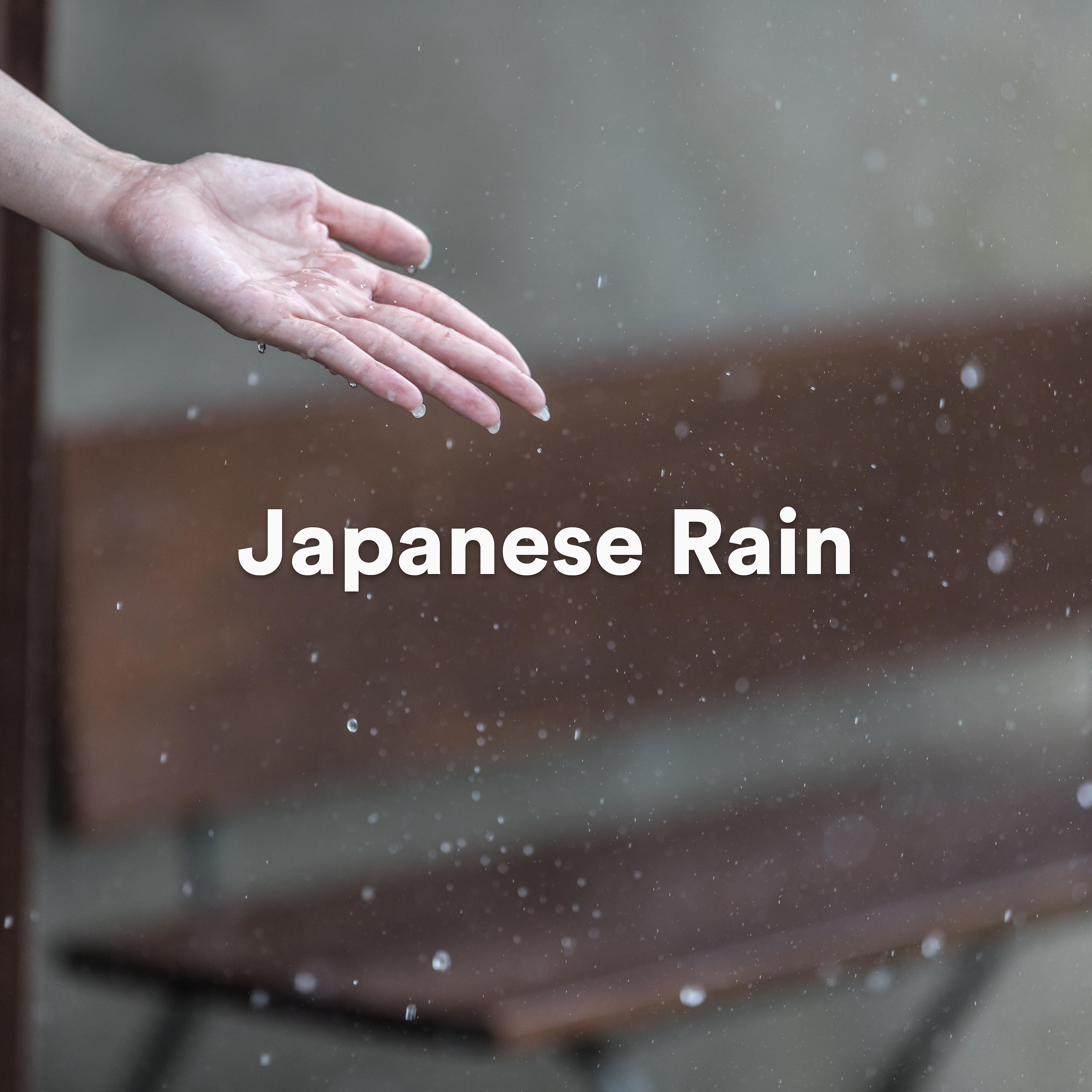 Постер альбома Japanese Rain