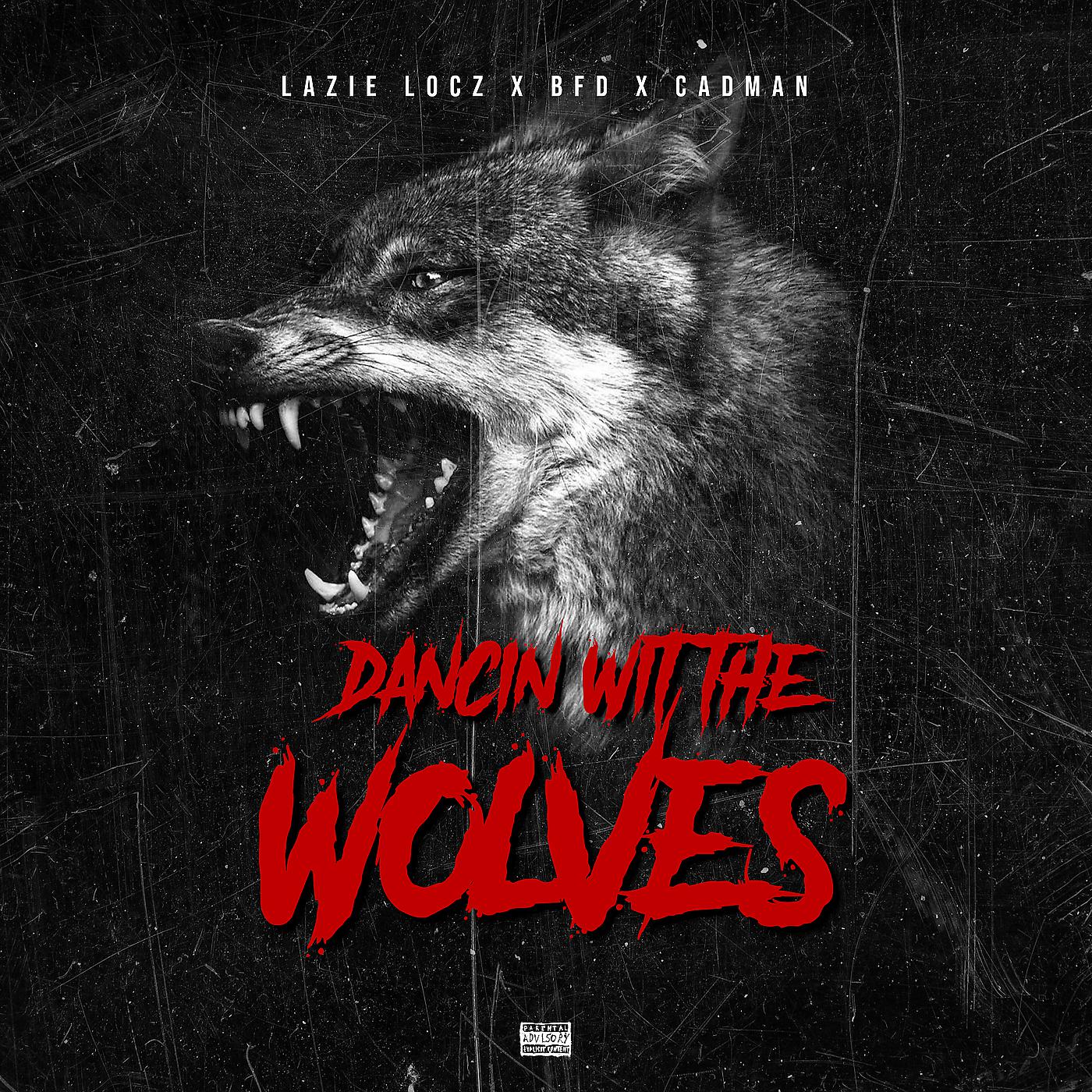 Постер альбома Dancin Wit the Wolves