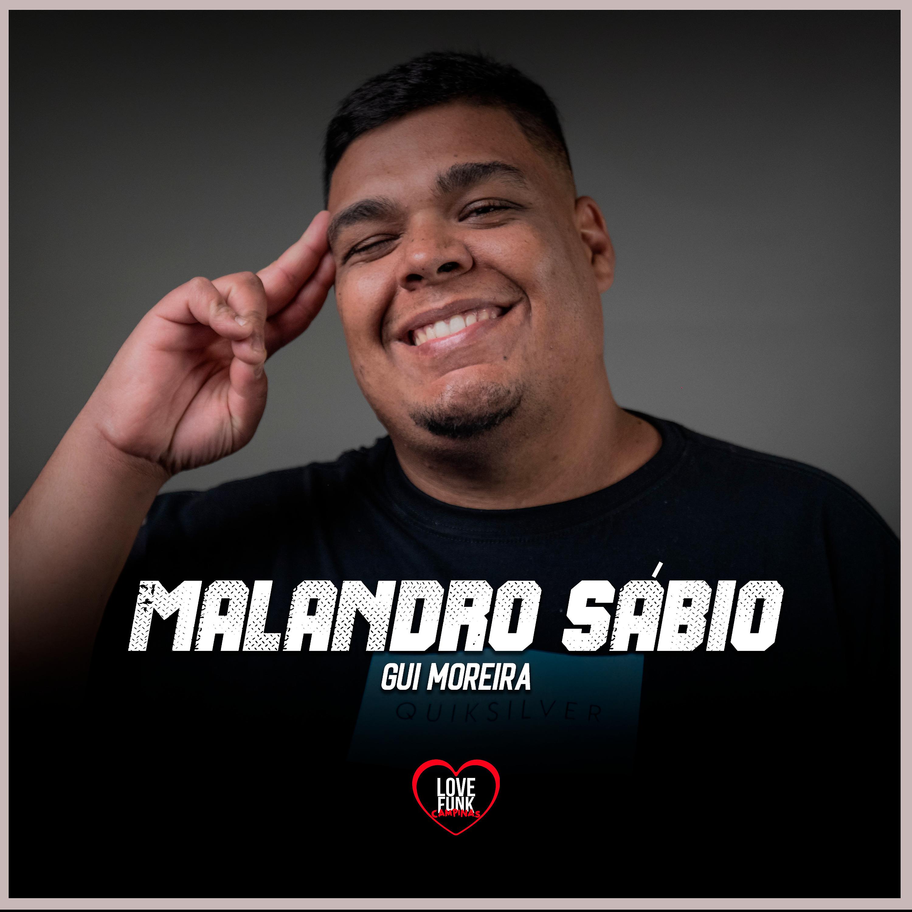Постер альбома Malandro Sábio