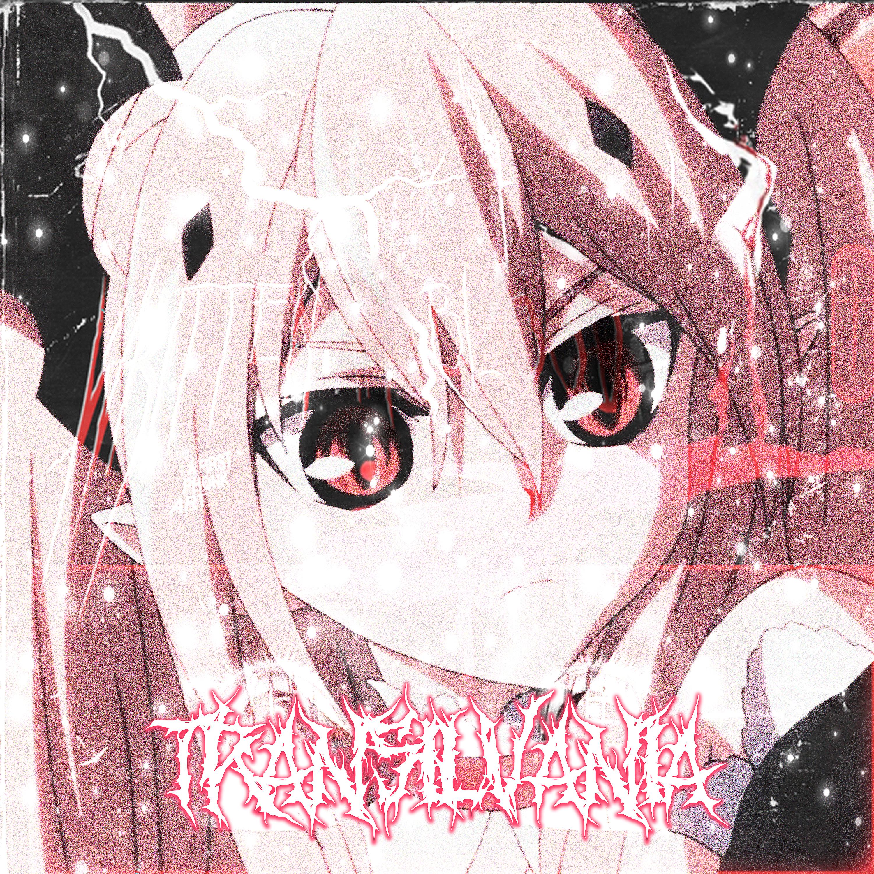 Постер альбома Transilvania