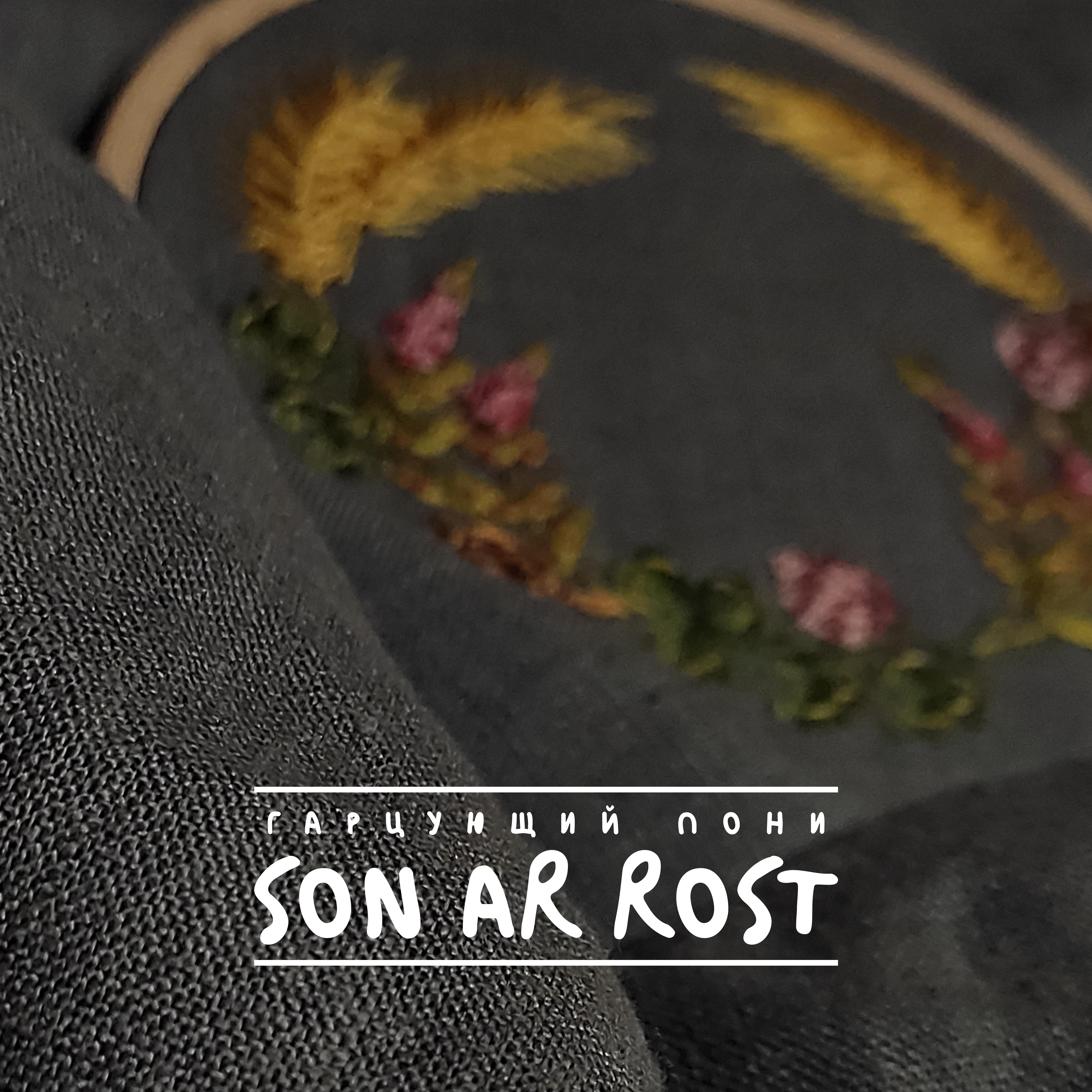 Постер альбома Son Ar Rost