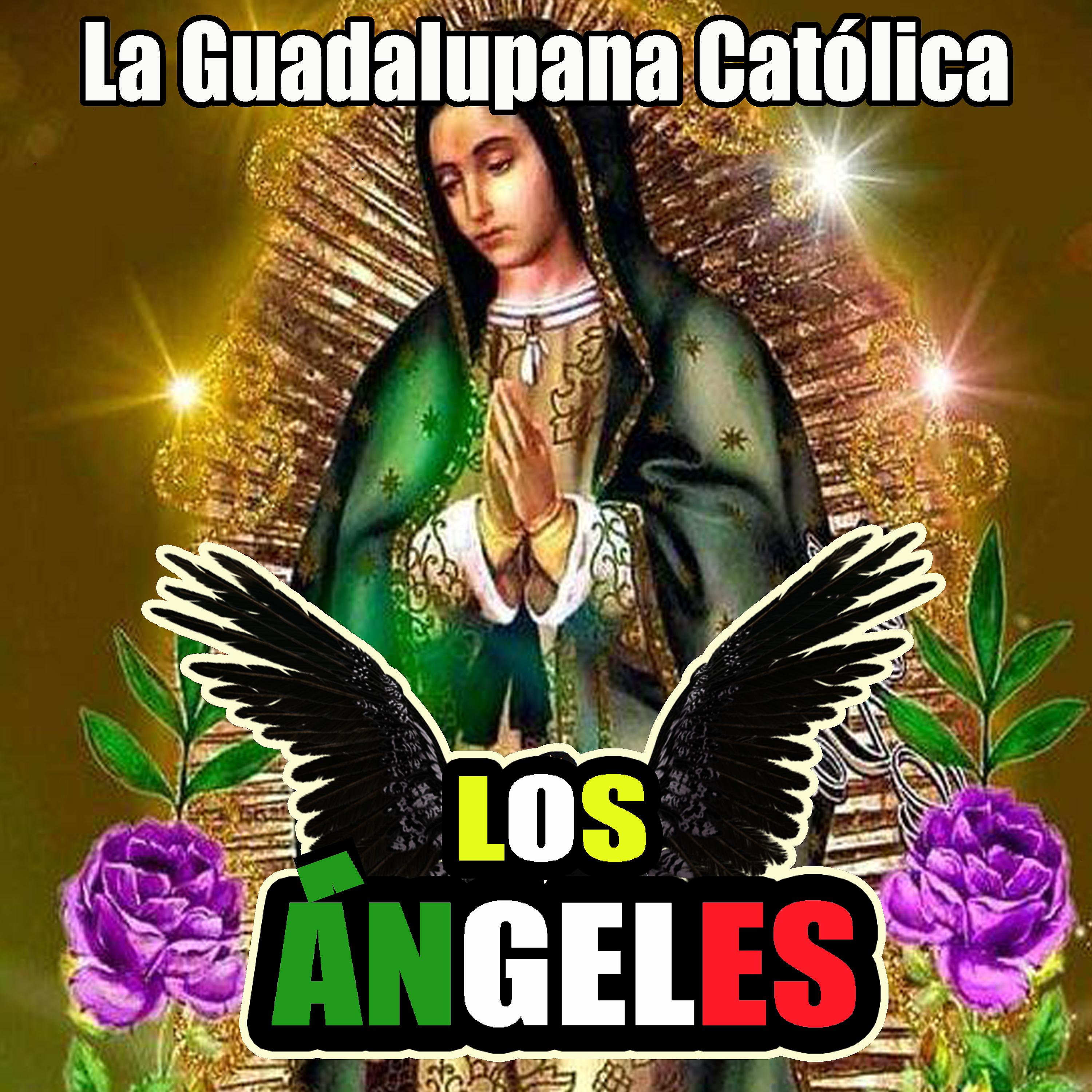 Постер альбома La Guadalupana Católica