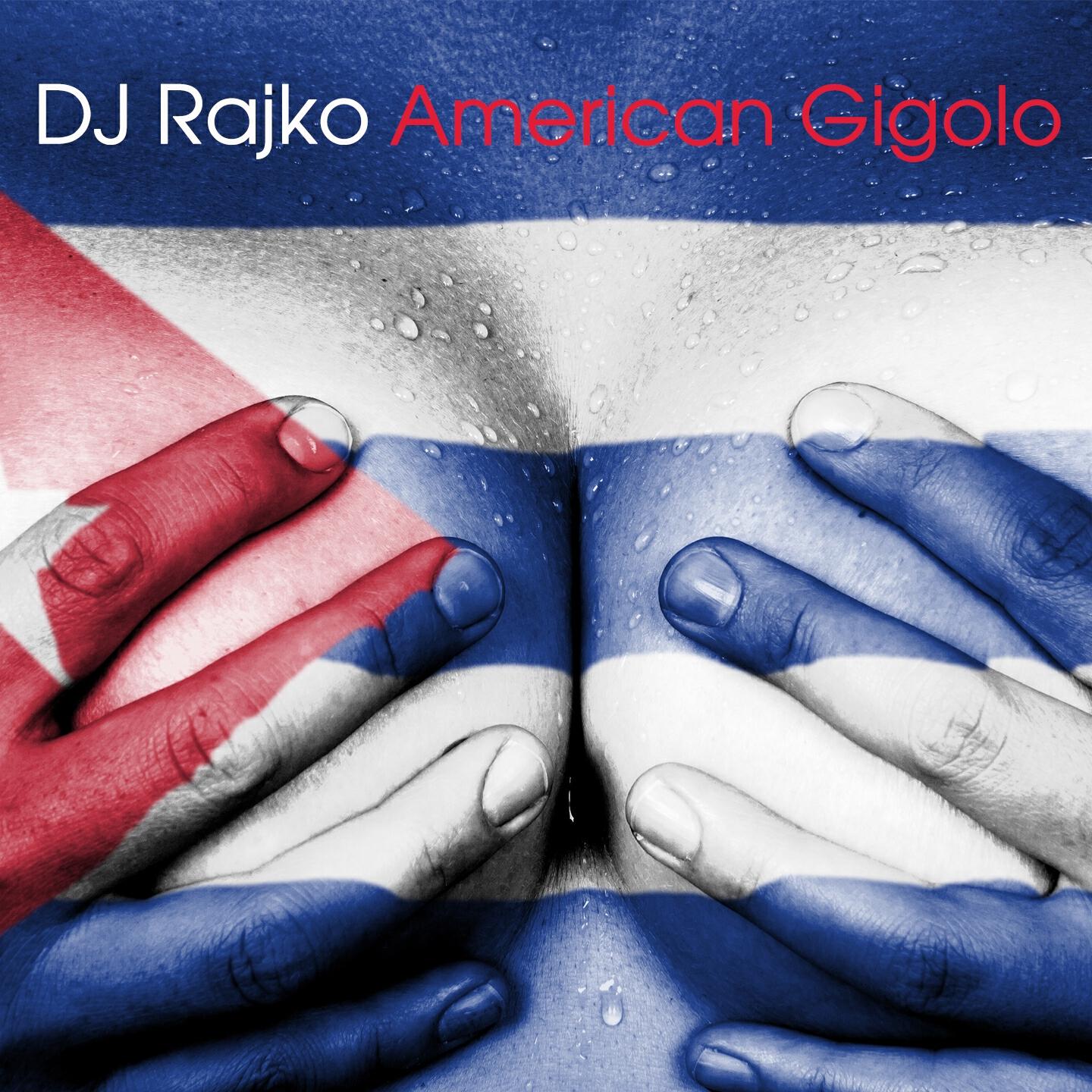 DJ Rajko - Contact One