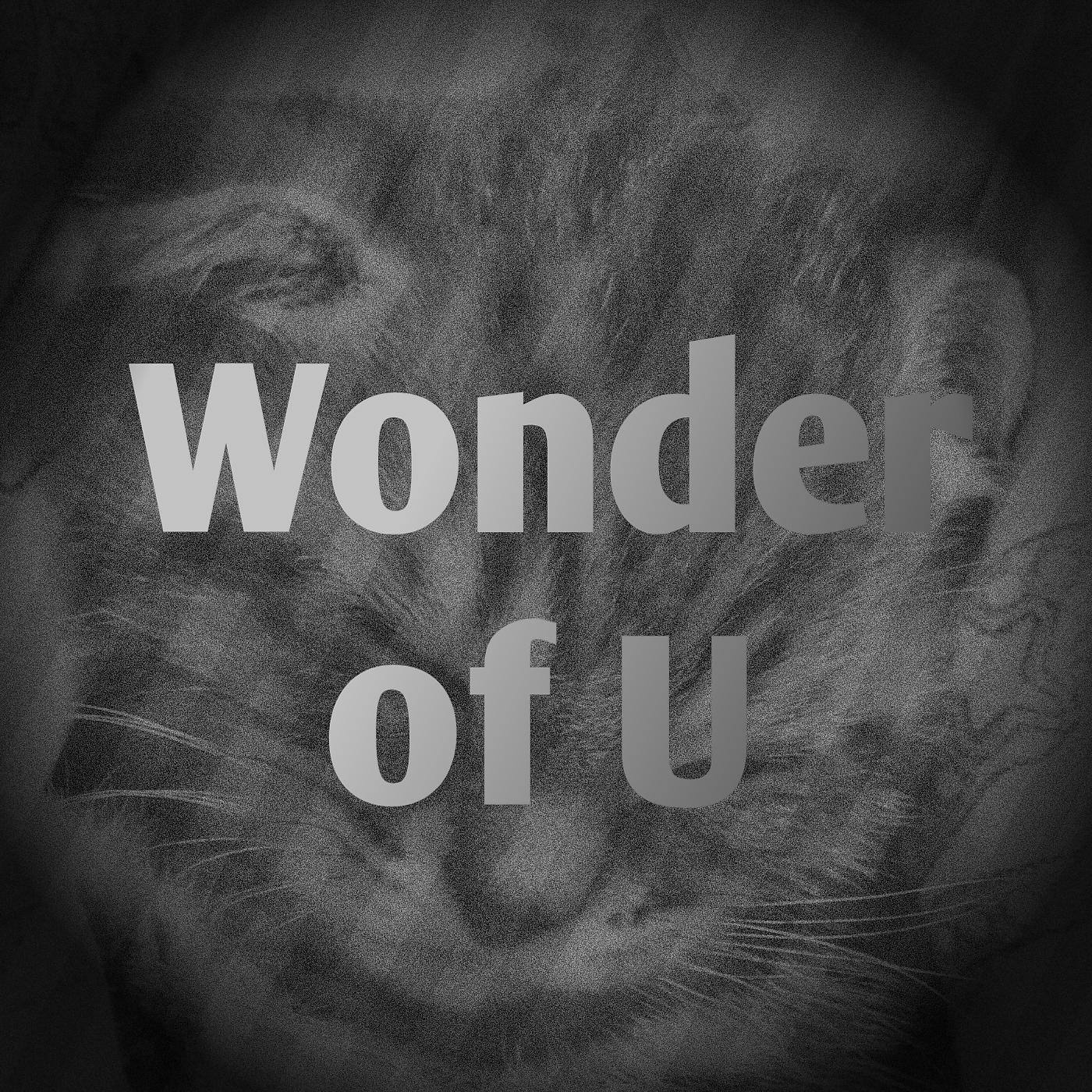 Постер альбома Wonder of U