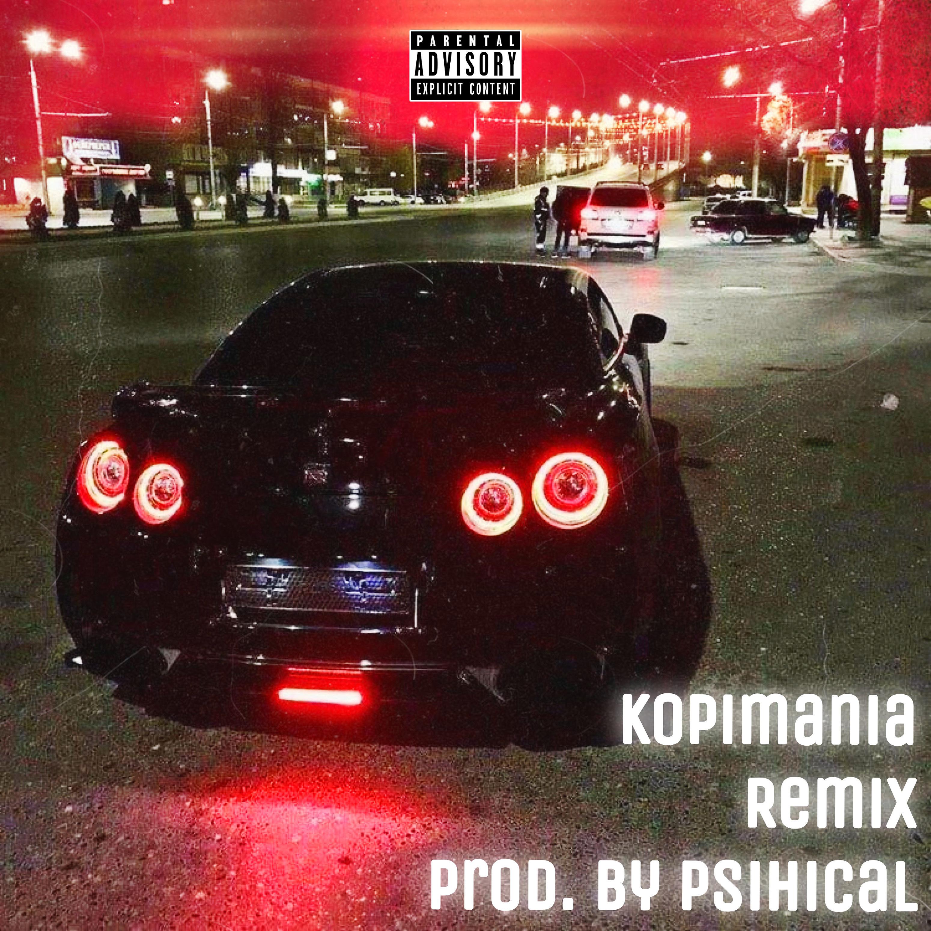 Постер альбома Kopimania (Remix)