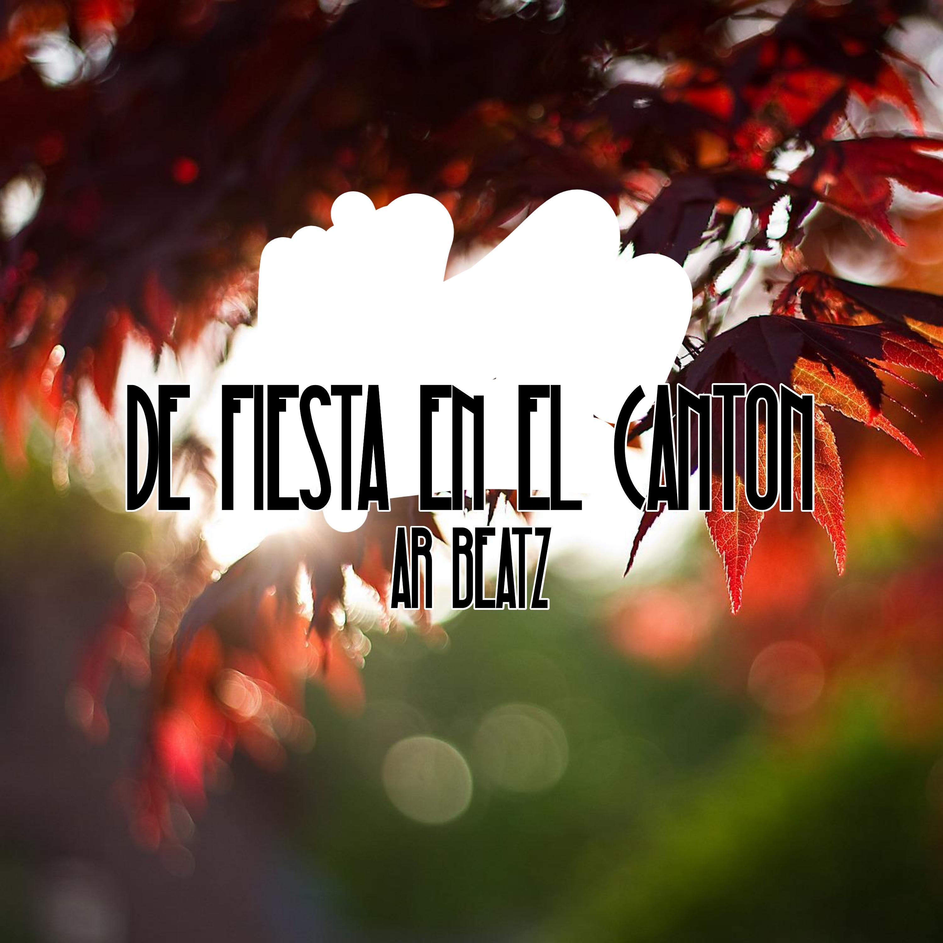 Постер альбома De Fiesta En El Canton