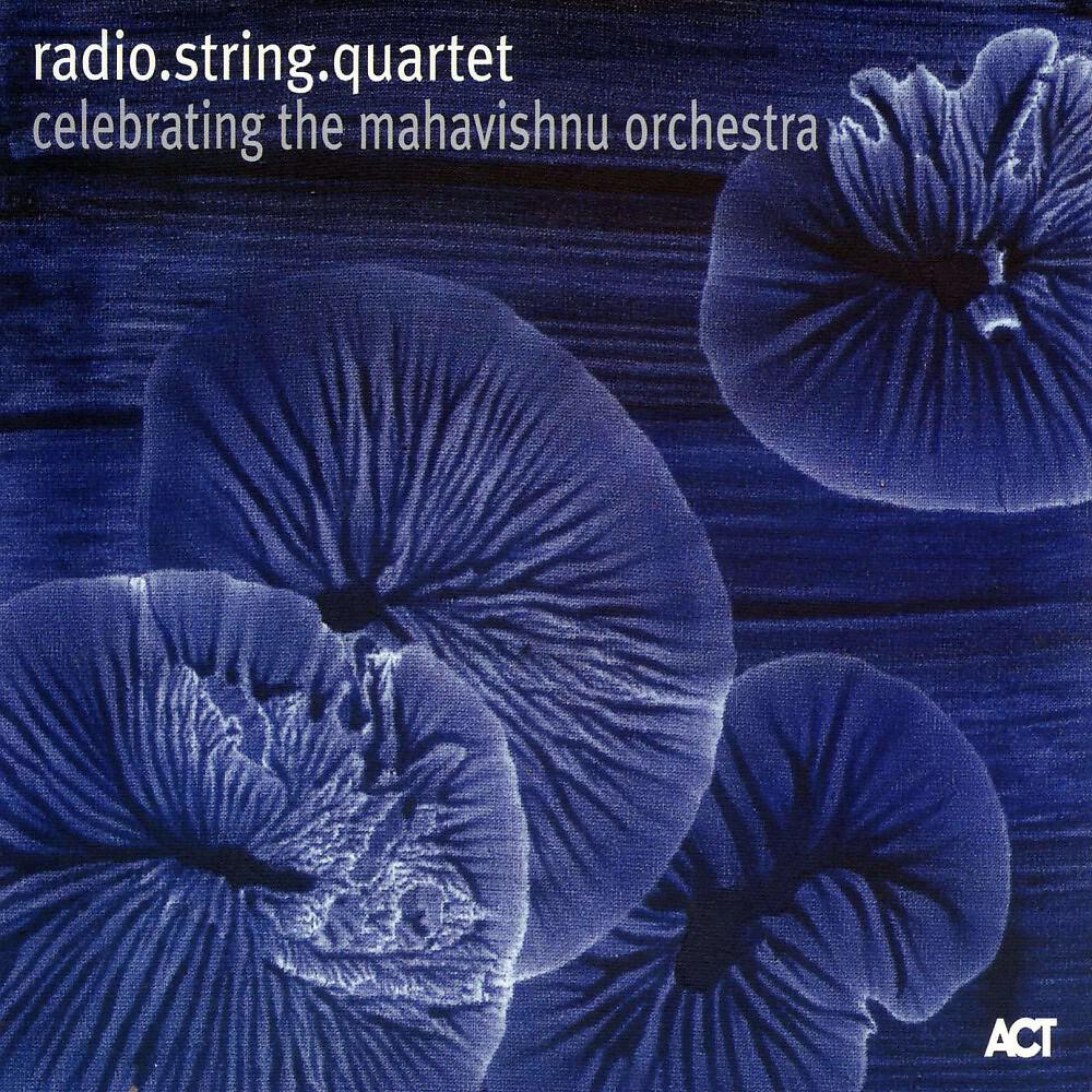 radio.string.quartet - Thousand Island Park