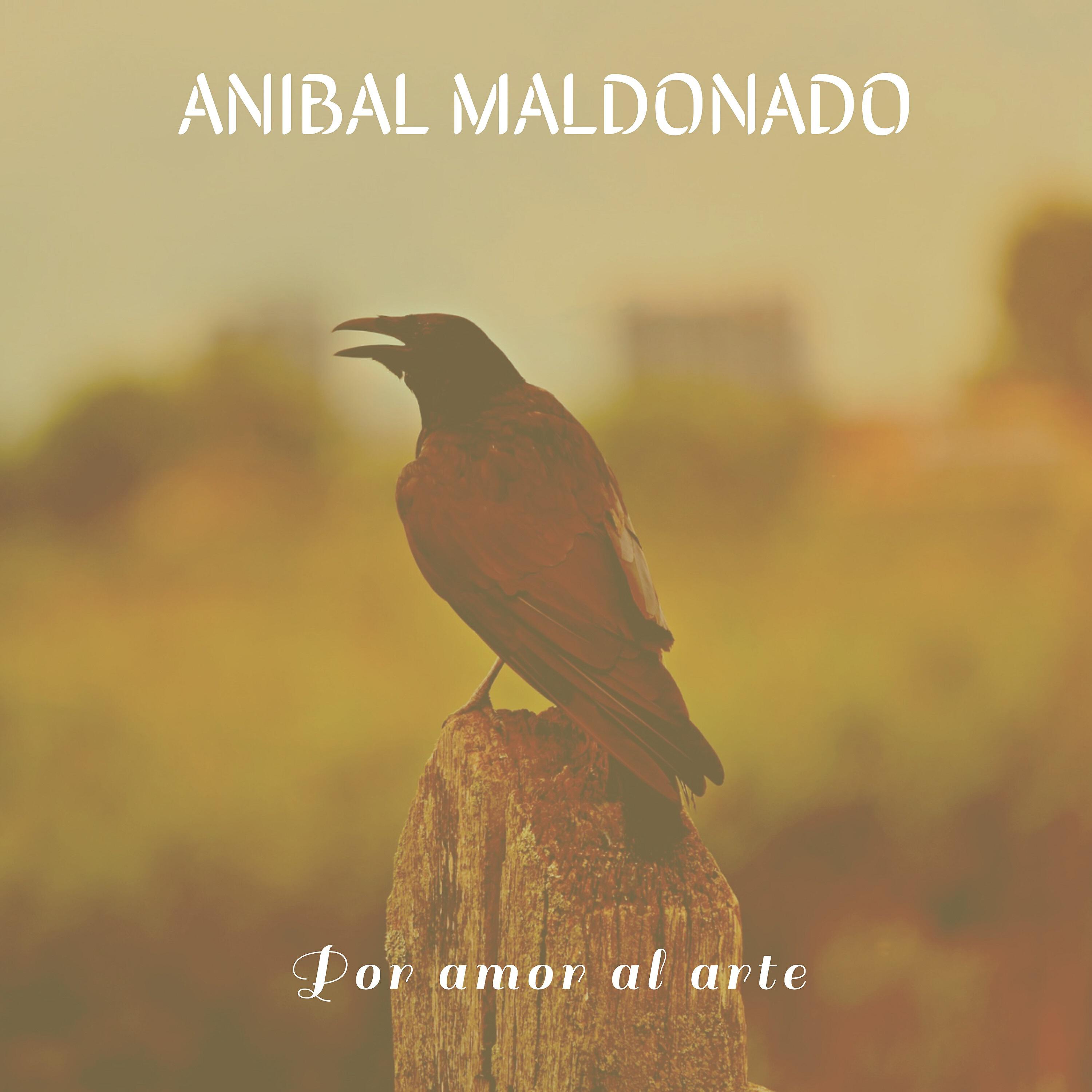 Anibal Maldonado - El capon