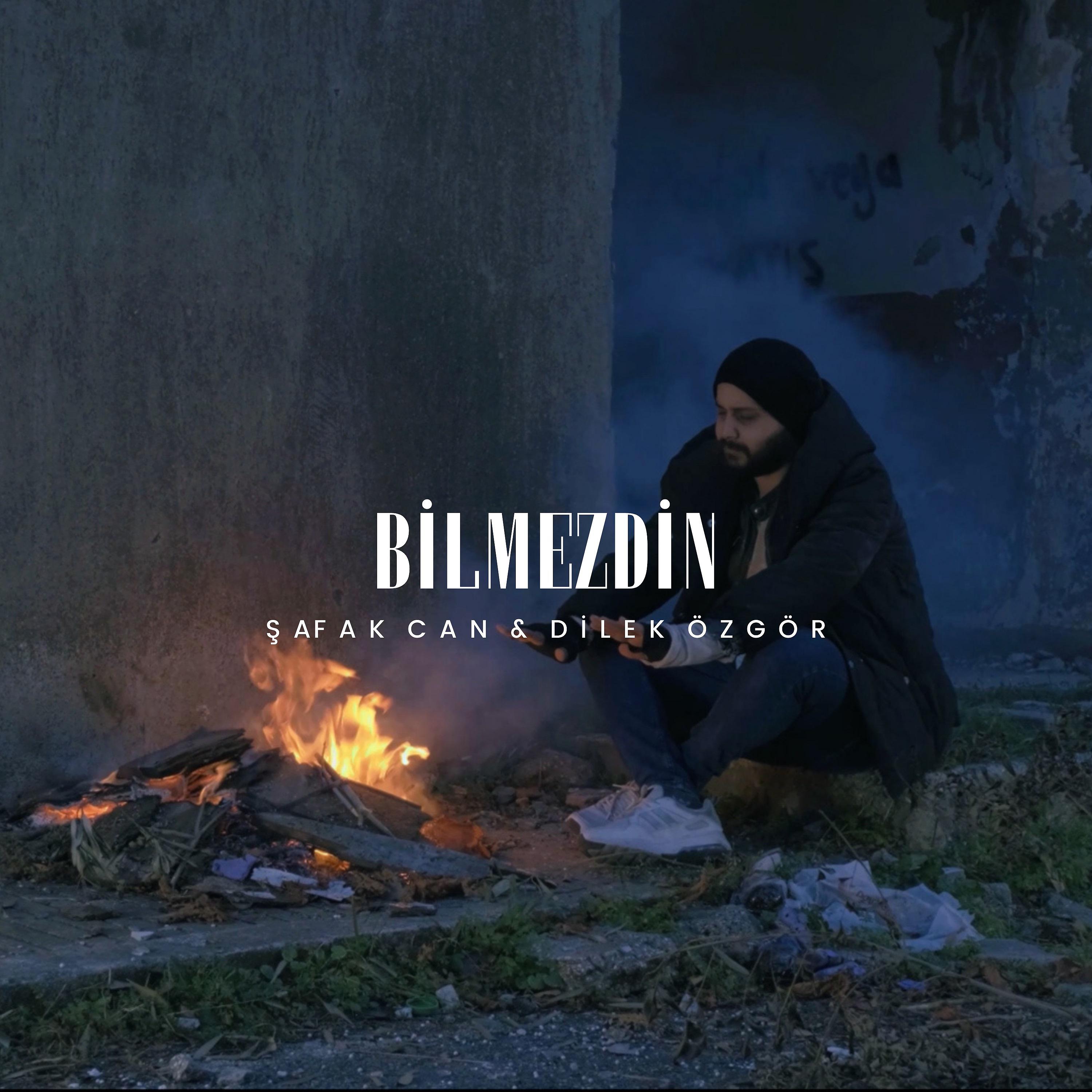 Постер альбома Bilmezdin