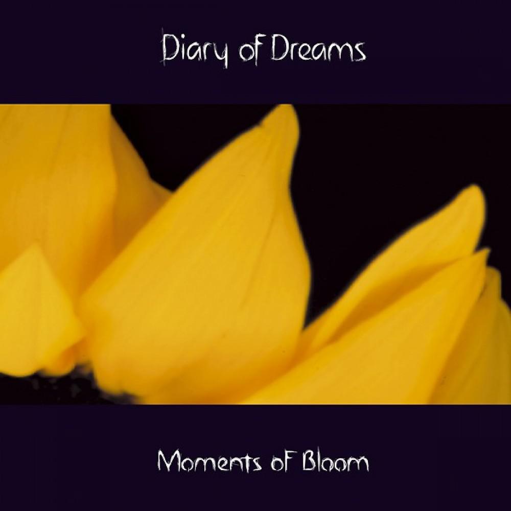 Постер альбома Moments of Bloom