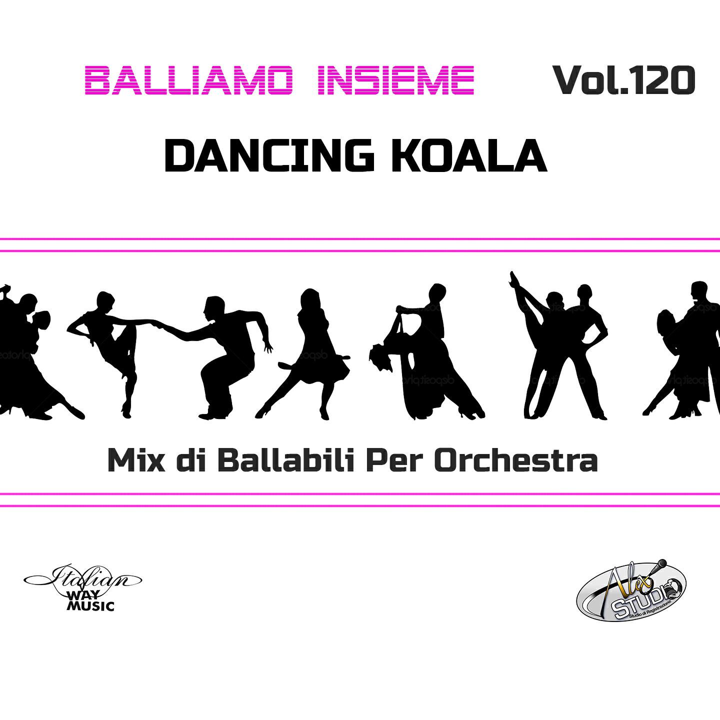 Dancing Koala - Good Time / Country ritratto (Karaoke Version) (Base più cori)
