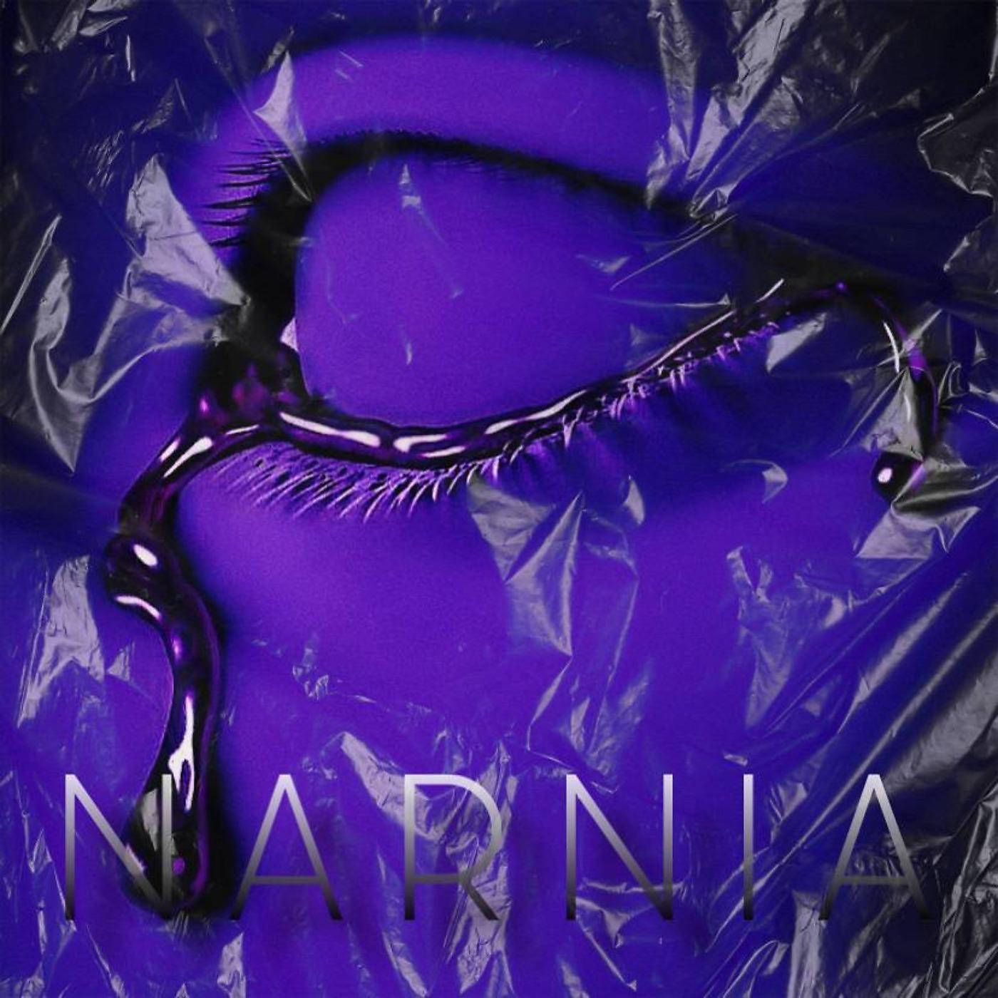 Постер альбома NARNIA