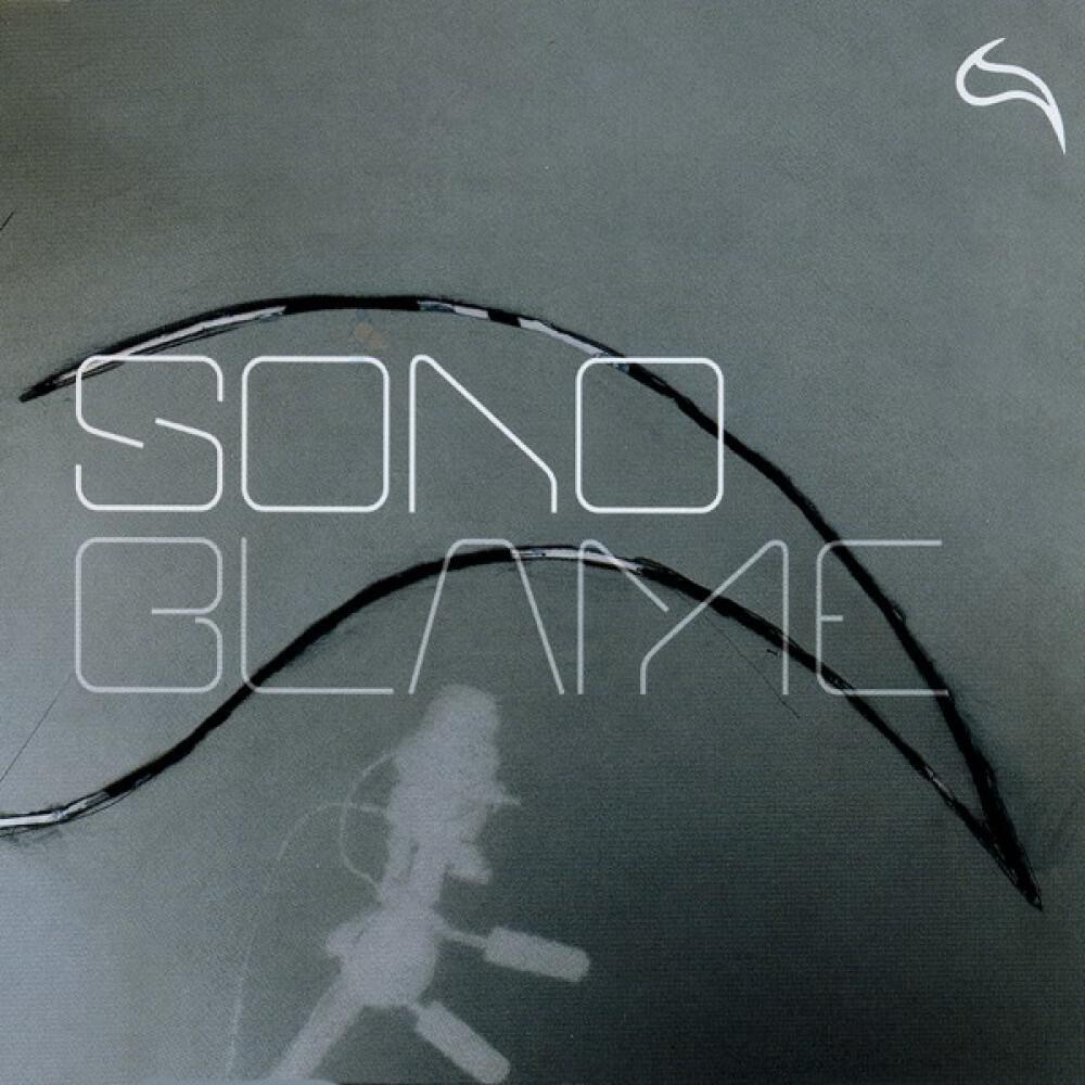 Sono - Blame (Terry Lee Brown Jr. Remix)