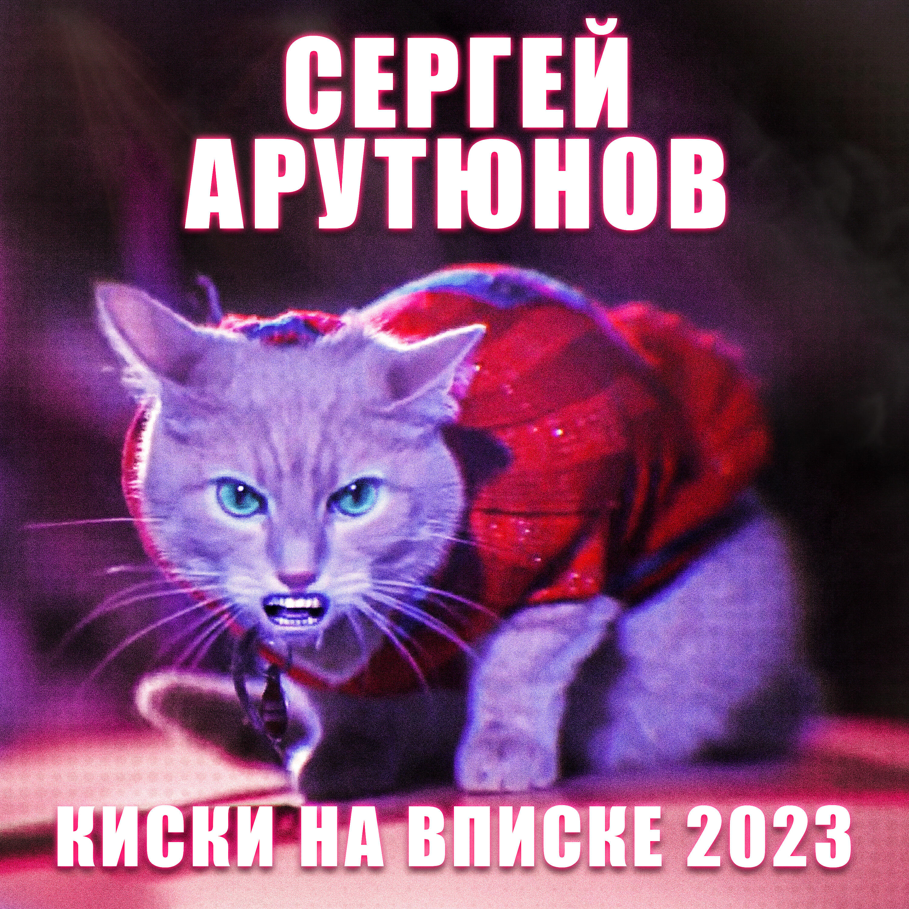 Постер альбома Киски на вписке 2023