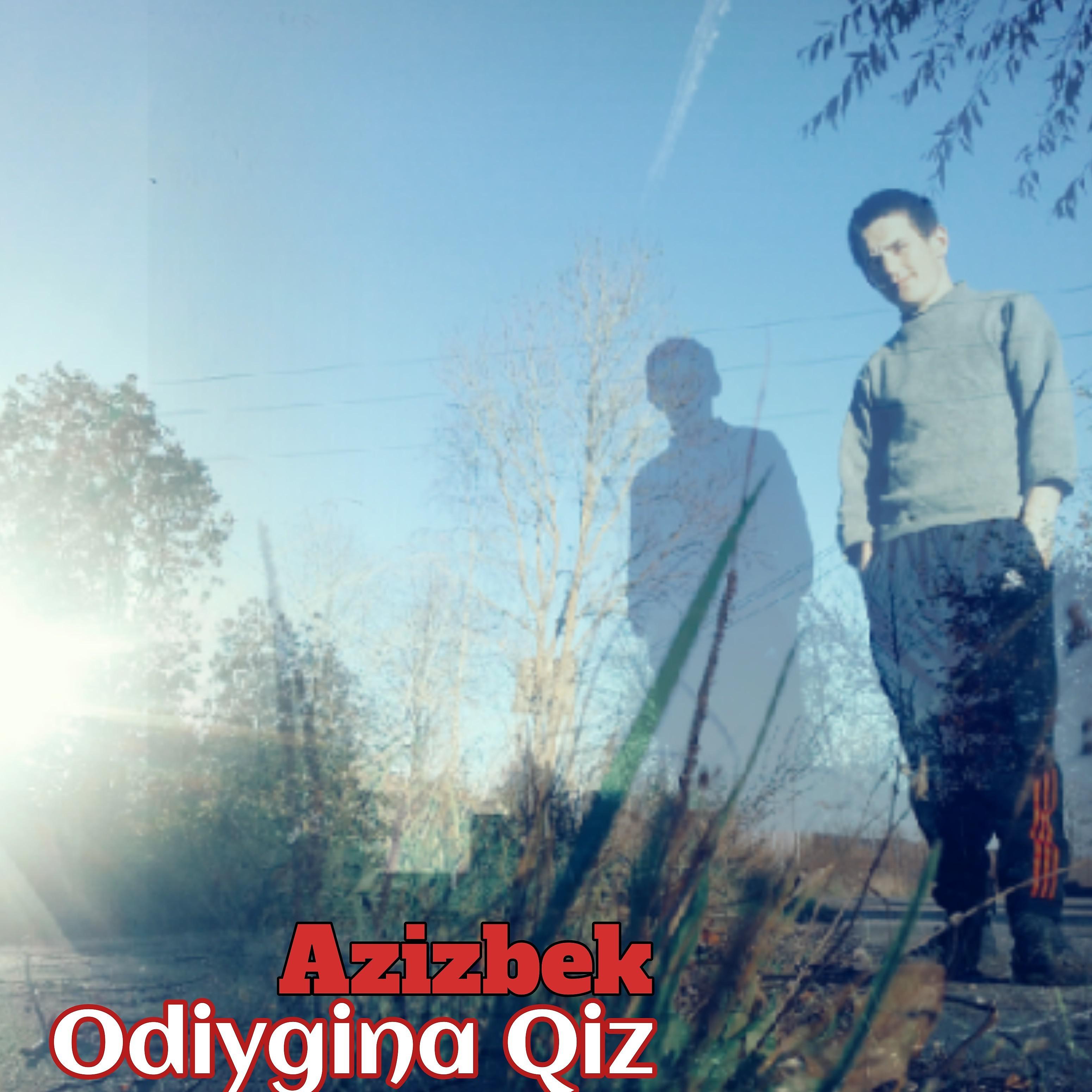 Постер альбома Odiygina Qiz