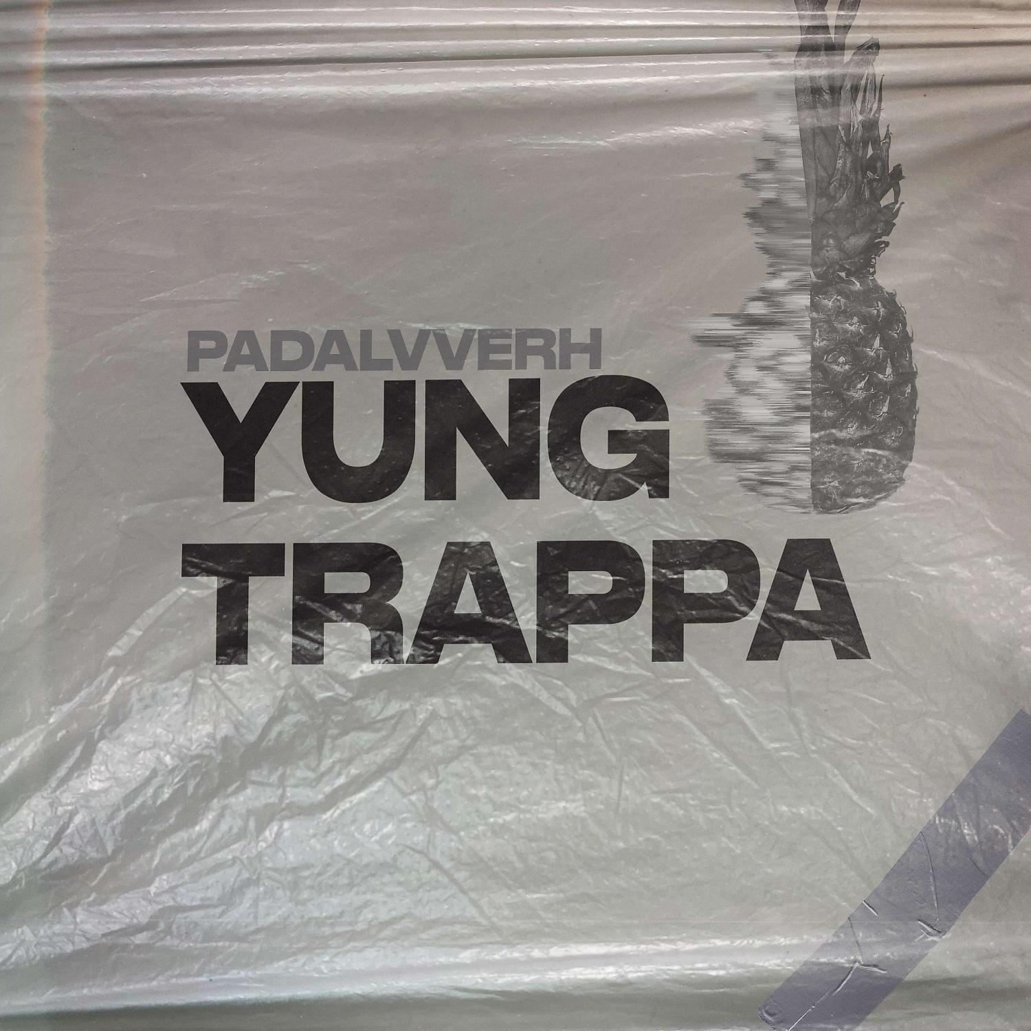 Постер альбома Yung Trappa