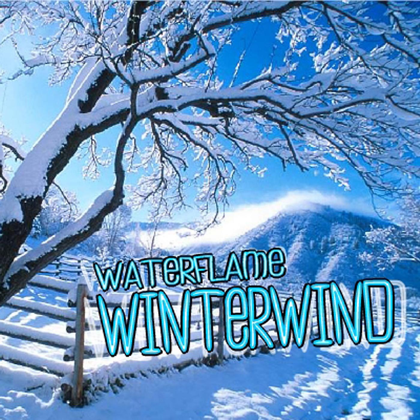 Постер альбома Winterwind