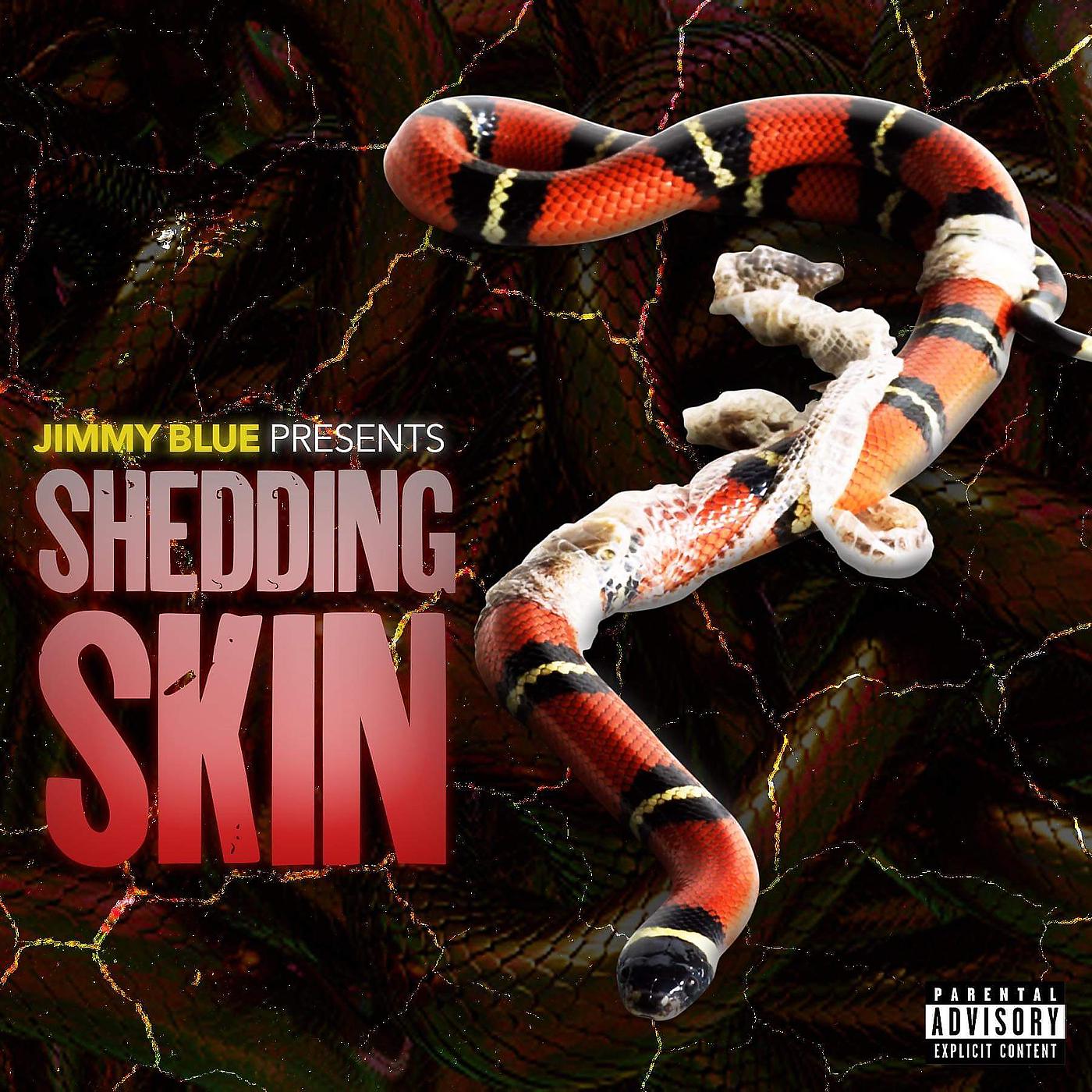 Постер альбома Shedding Skin