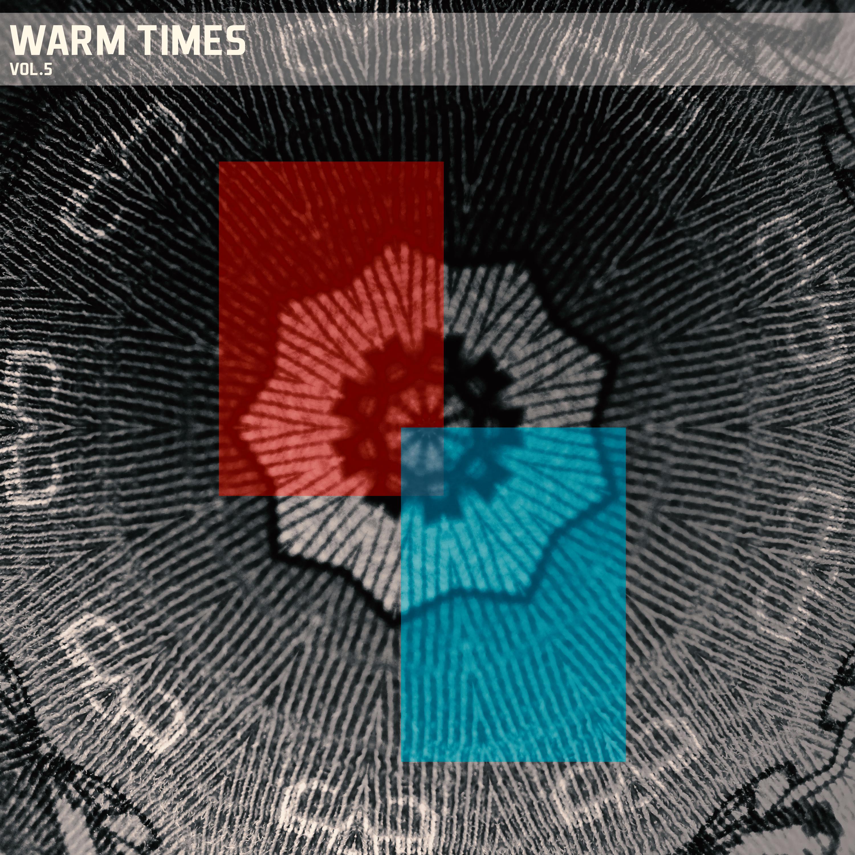 Постер альбома Warm Times, Vol. 05