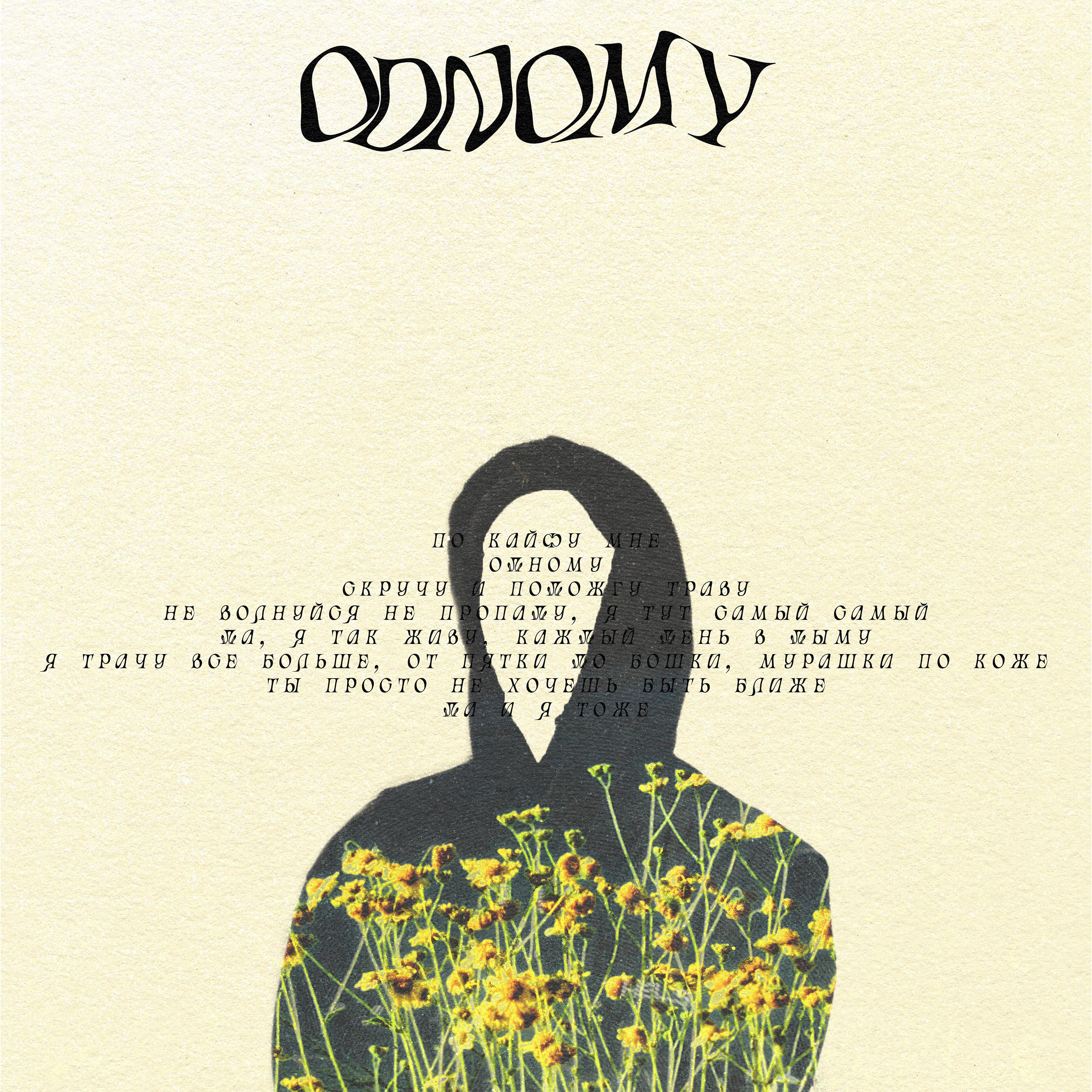 Постер альбома Odnomy