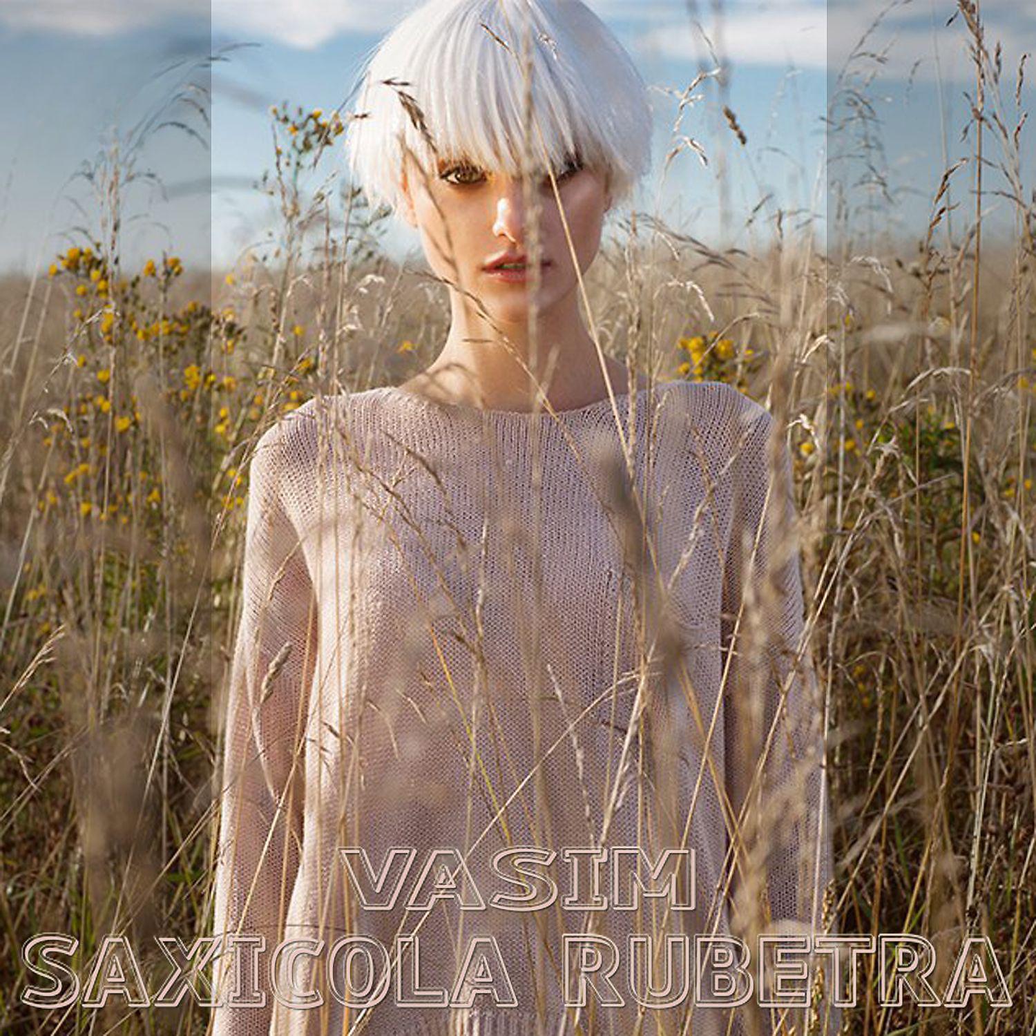 Постер альбома Saxicola Rubetra