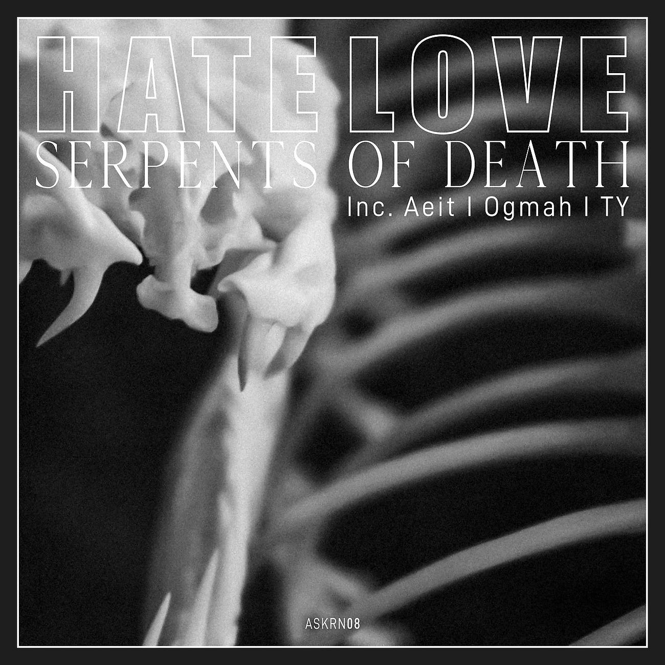 Постер альбома Serpents Of Death EP (inc. T Y, AEIT & Ogmah Remixes)
