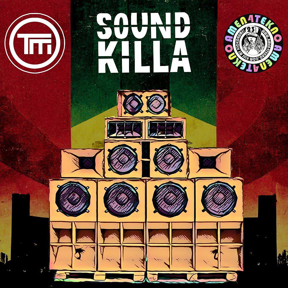 Постер альбома Sound Killa