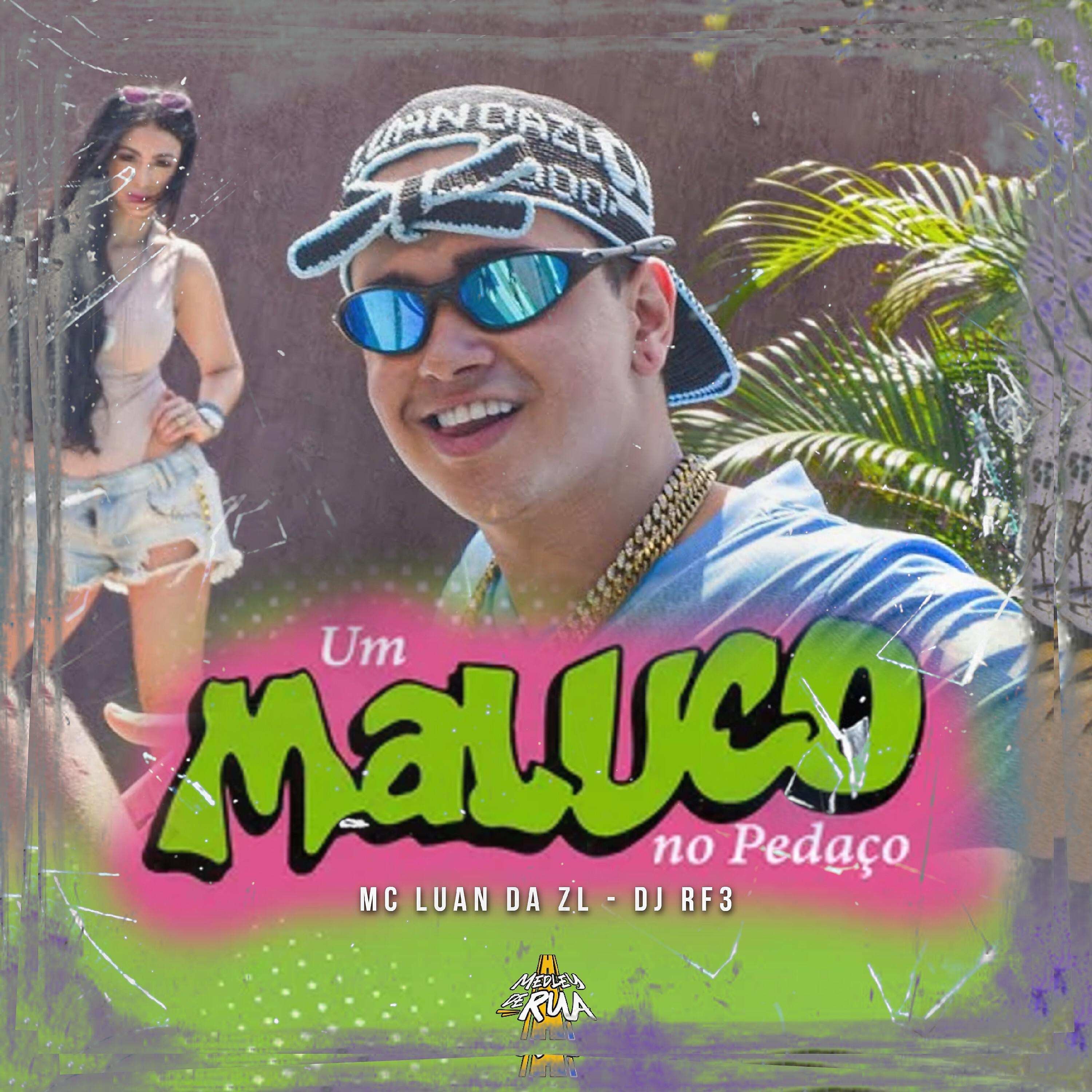 Постер альбома Um Maluco no Pedaço
