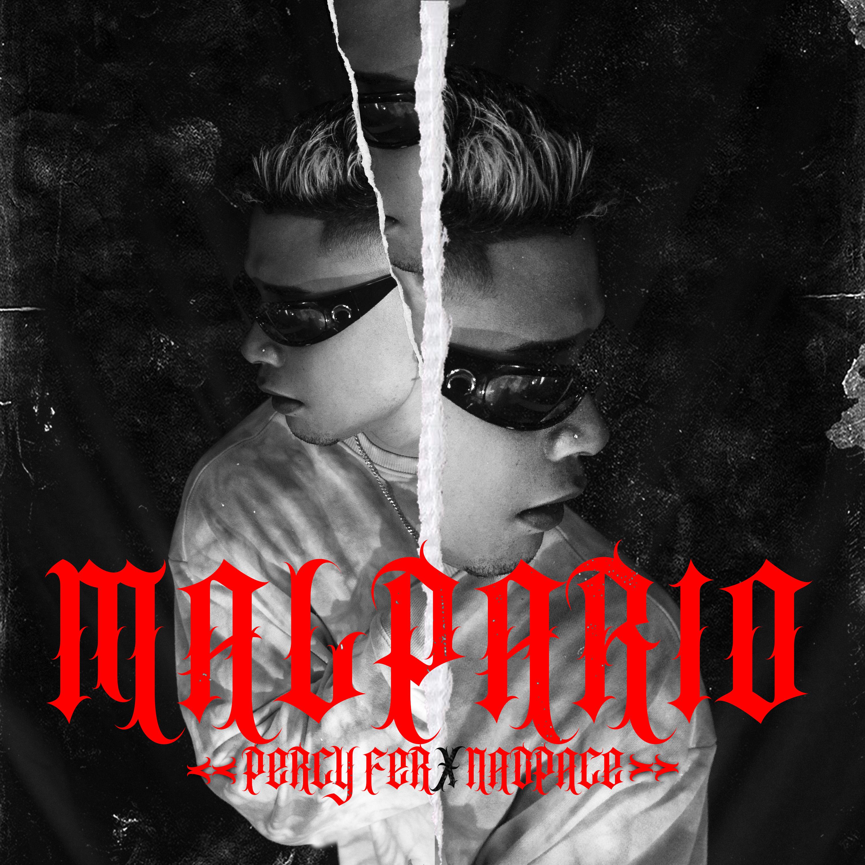 Постер альбома Malpario