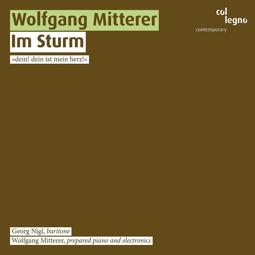 Постер альбома Im Sturm