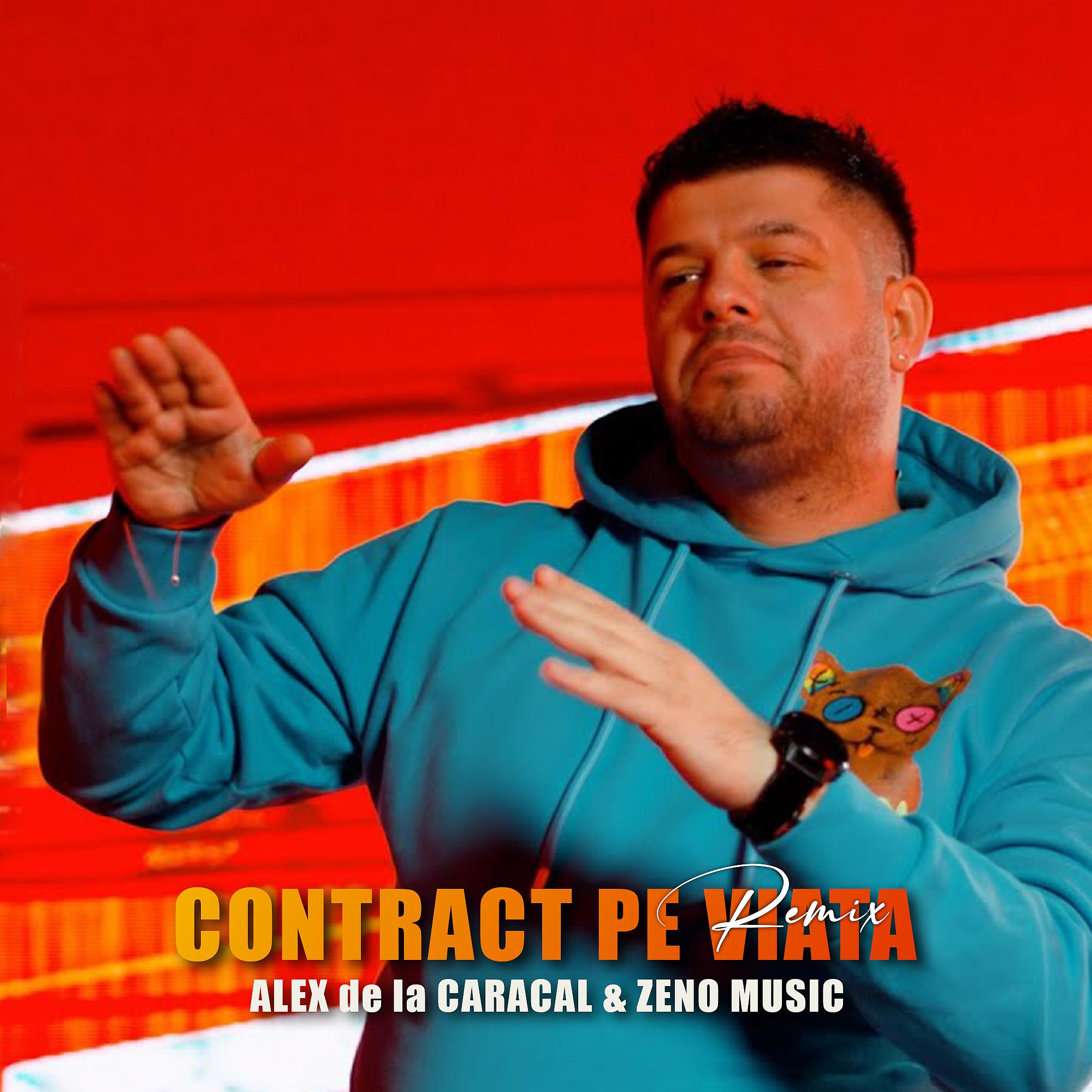 Постер альбома Contract pe viata