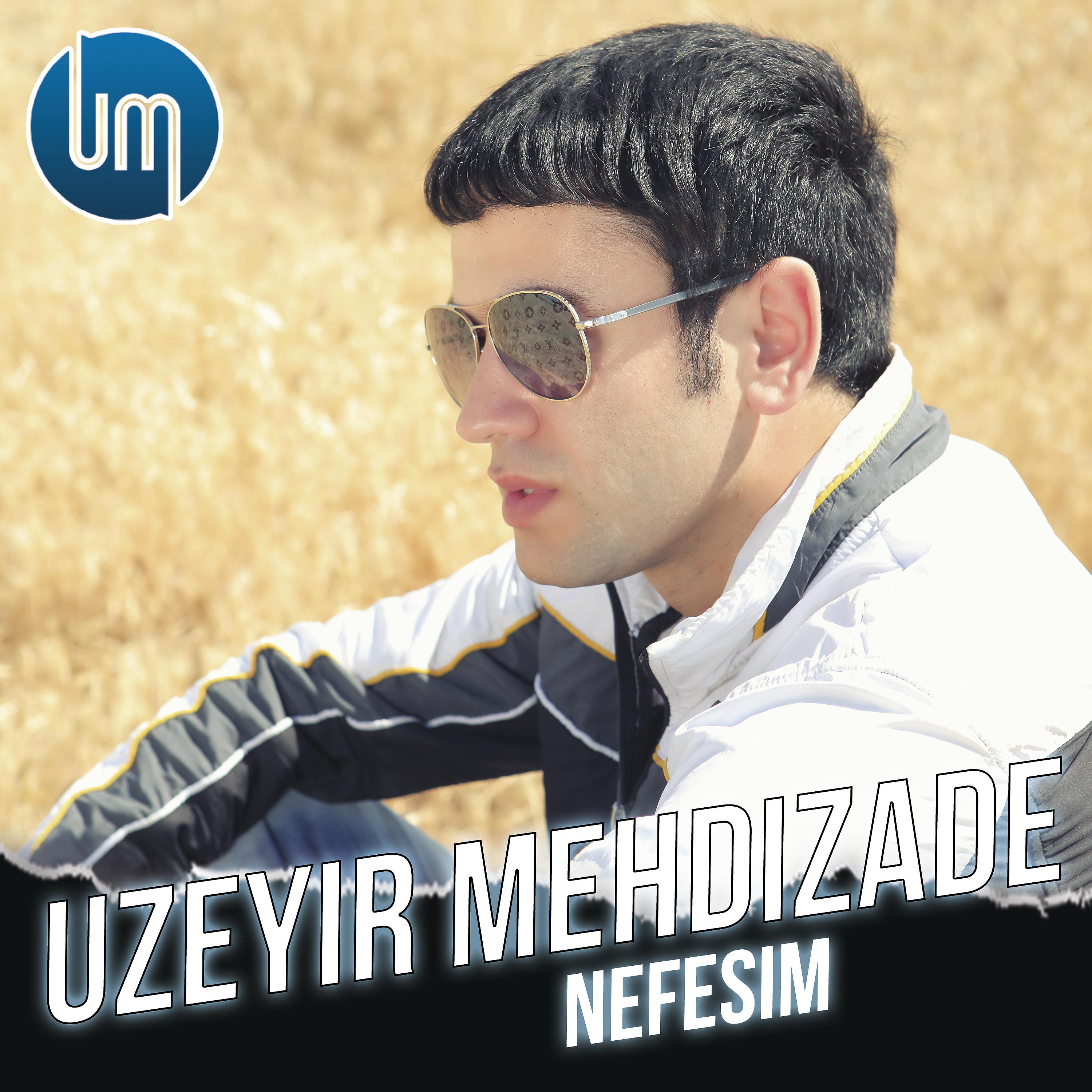 Постер альбома Nefesim