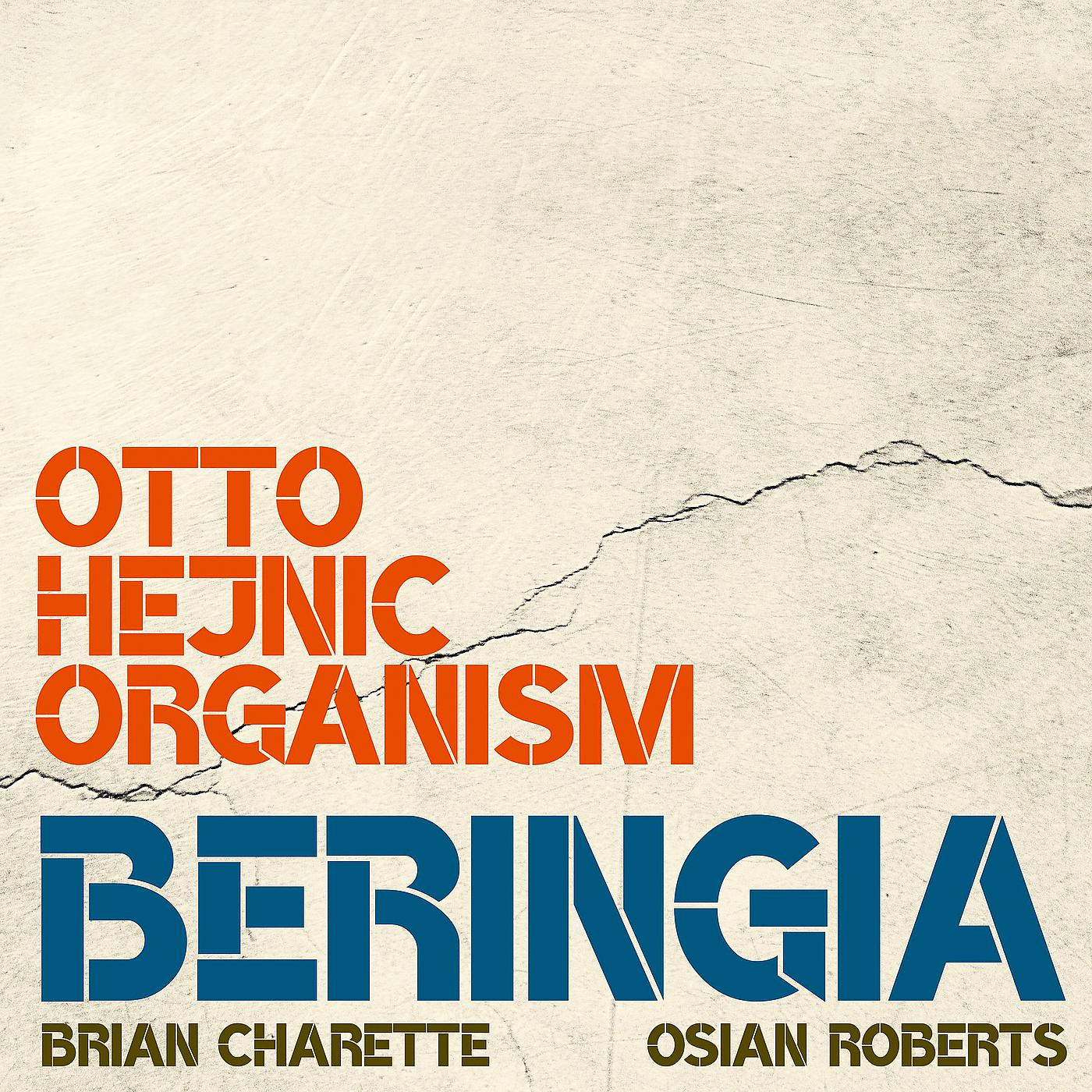 Постер альбома Beringia