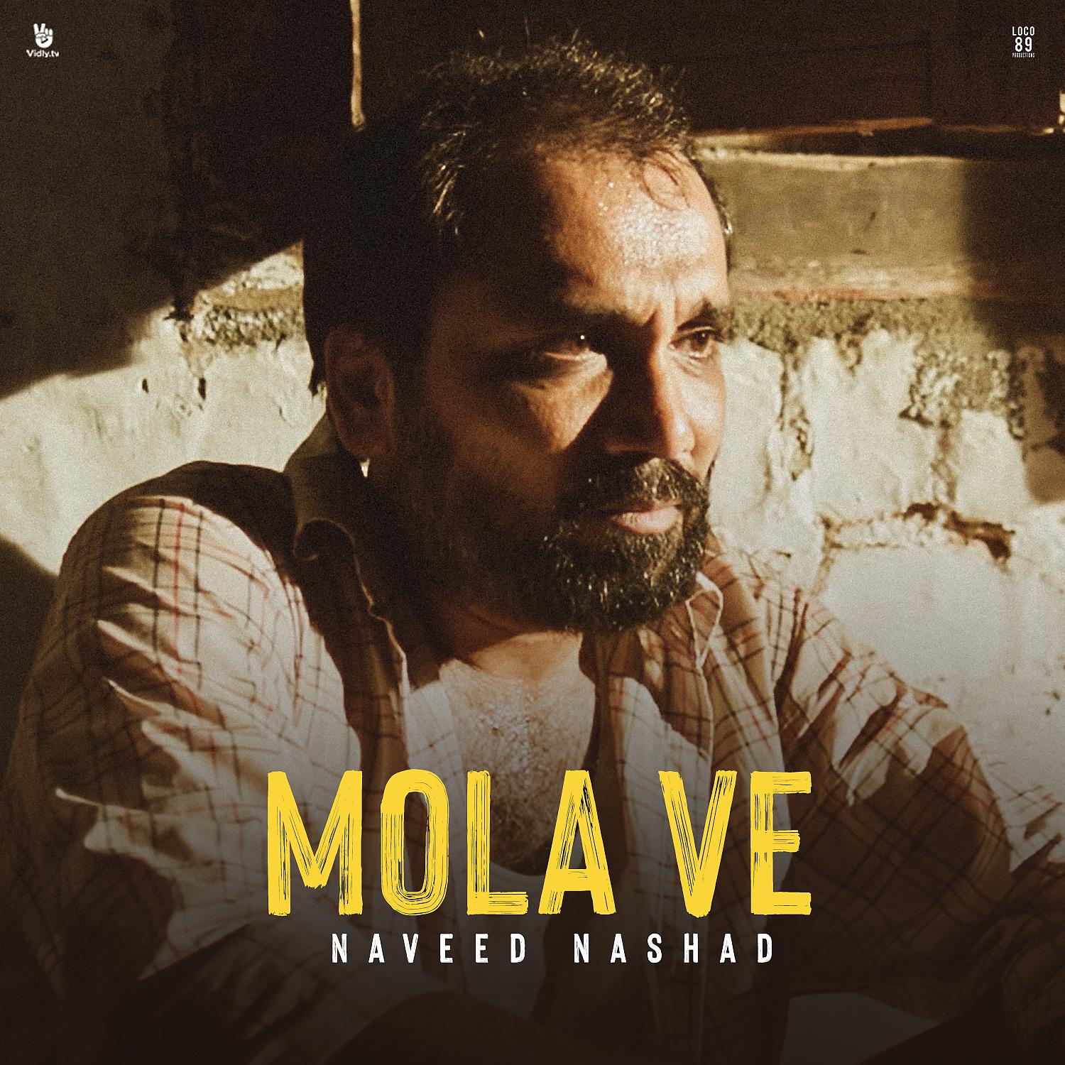 Постер альбома Mola Ve ( From "Sevak" )