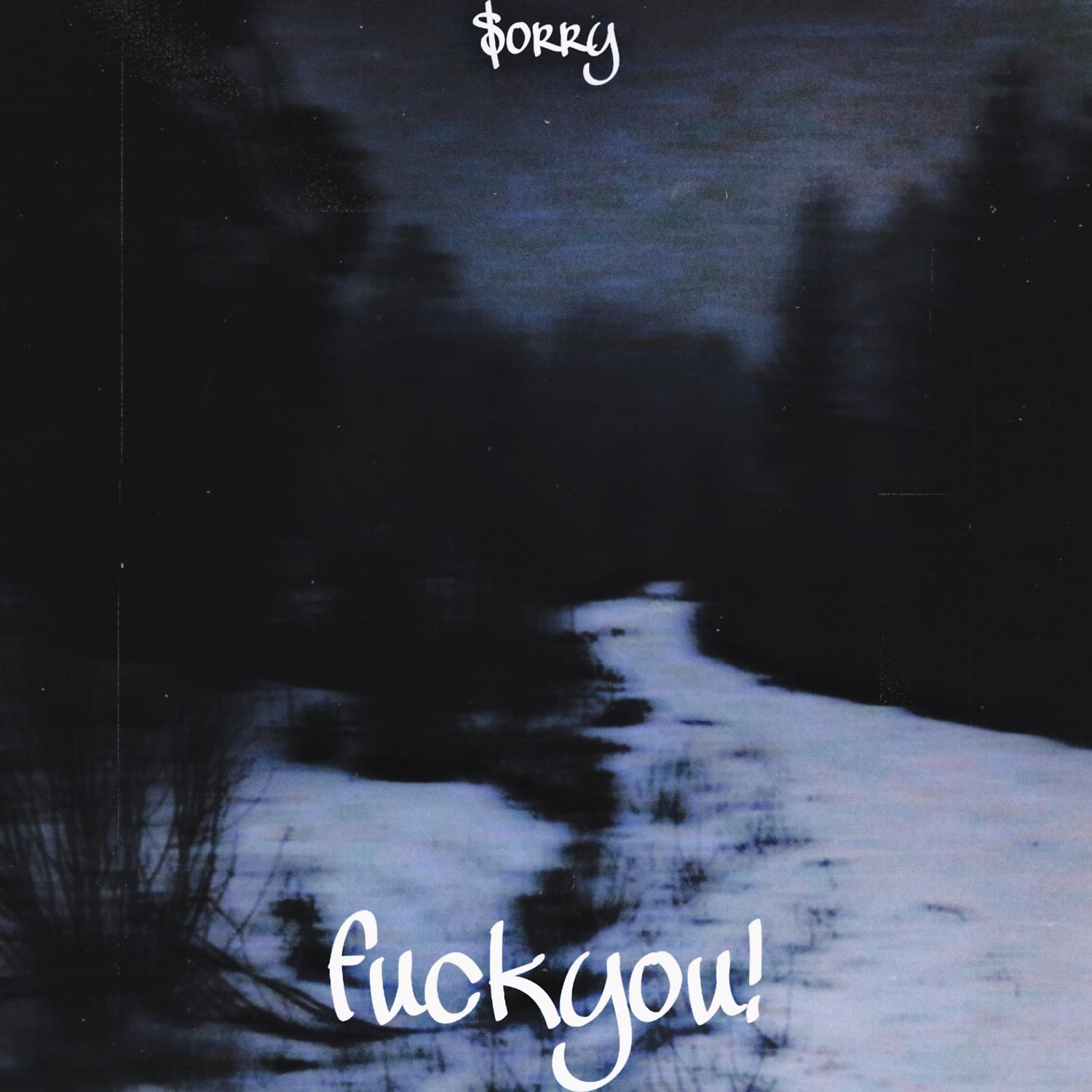 Постер альбома $orry, fuckyou!