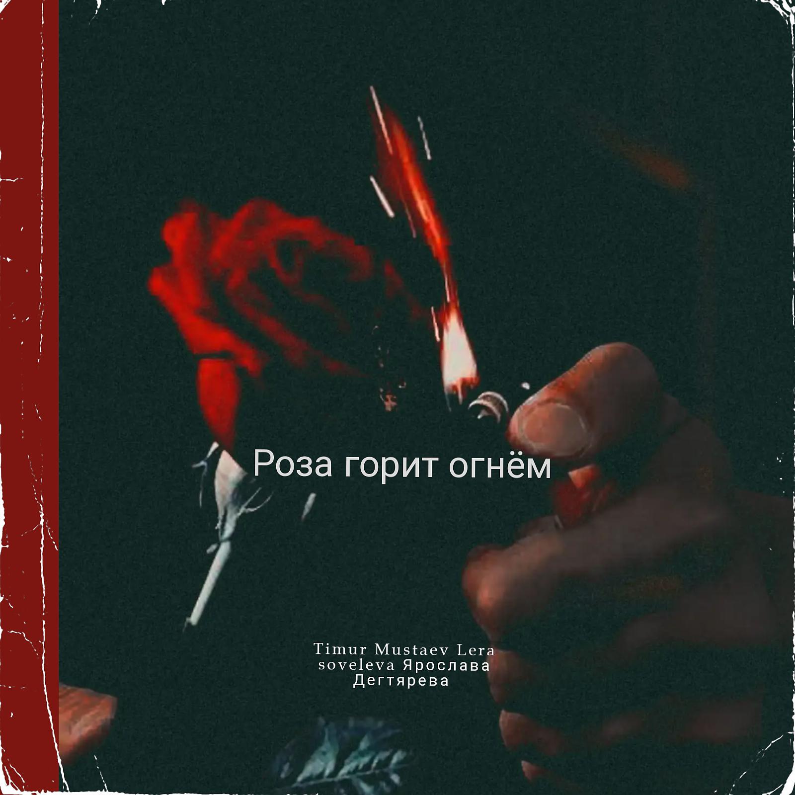 Постер альбома Роза горит огнём