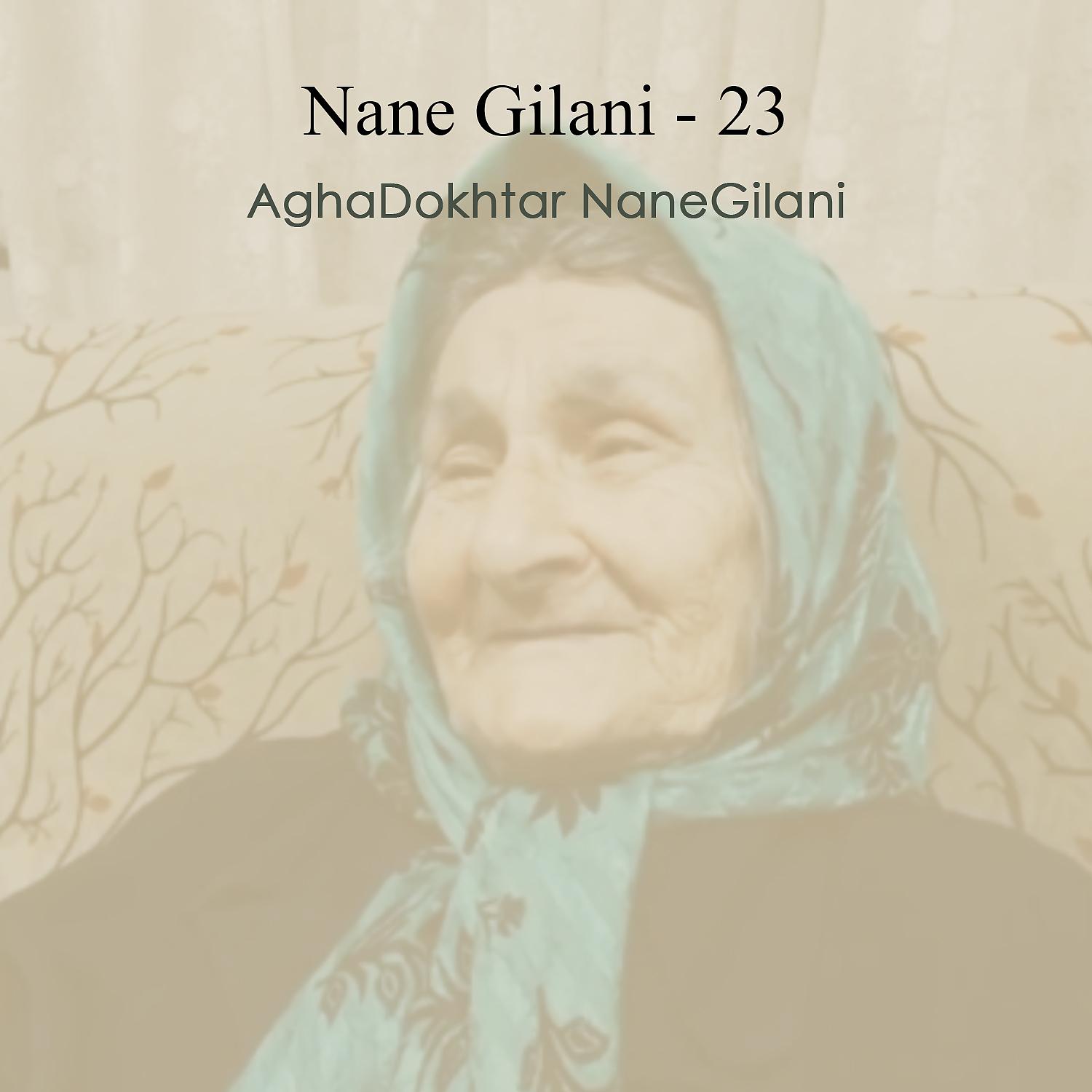 Постер альбома Nane Gilani - 23