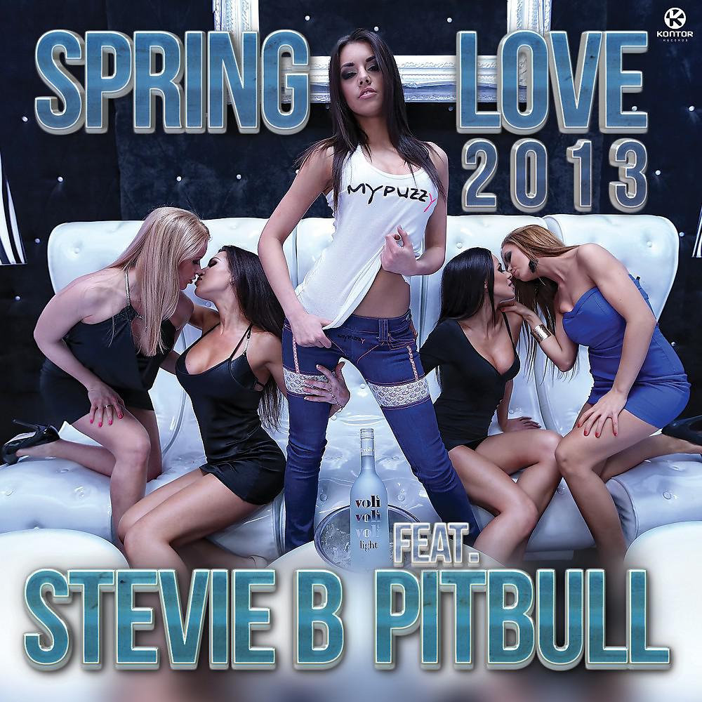 Постер альбома Spring Love 2013
