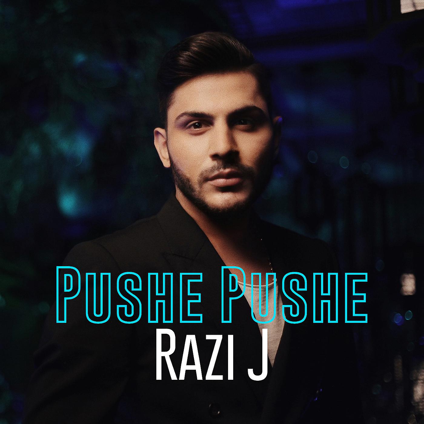 Постер альбома Pushe Pushe