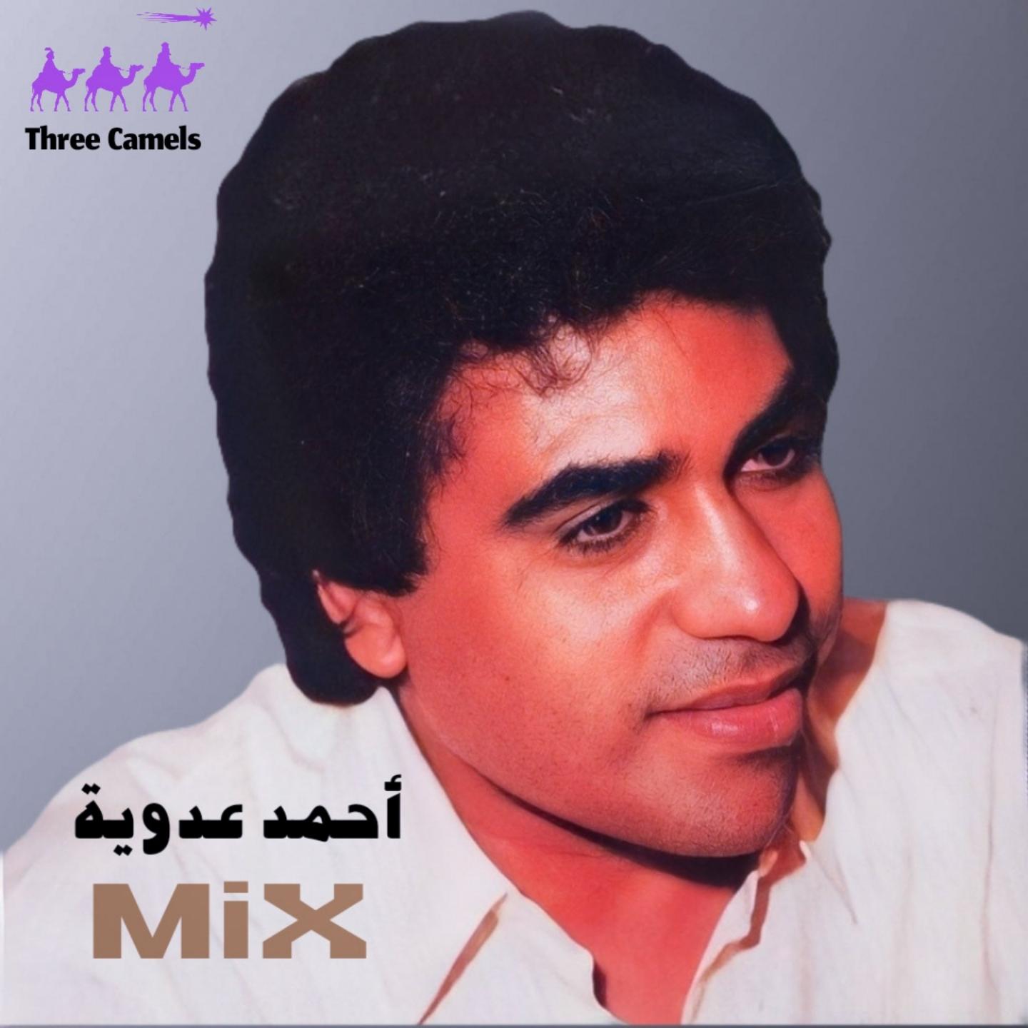 Постер альбома Ahmed Adaweya Mix