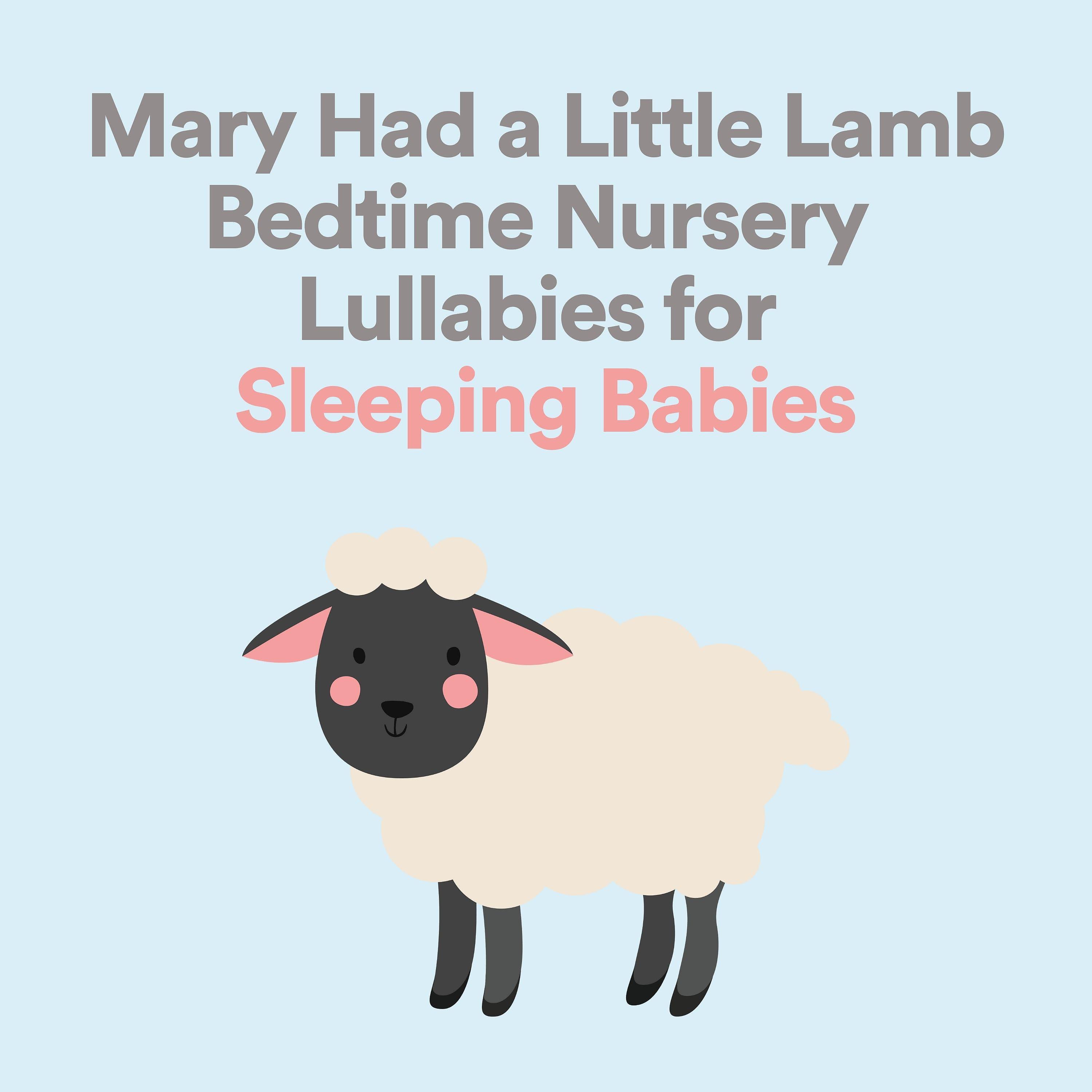 Постер альбома Mary Had a Little Lamb Bedtime Nursery Lullabies for Sleeping Babies